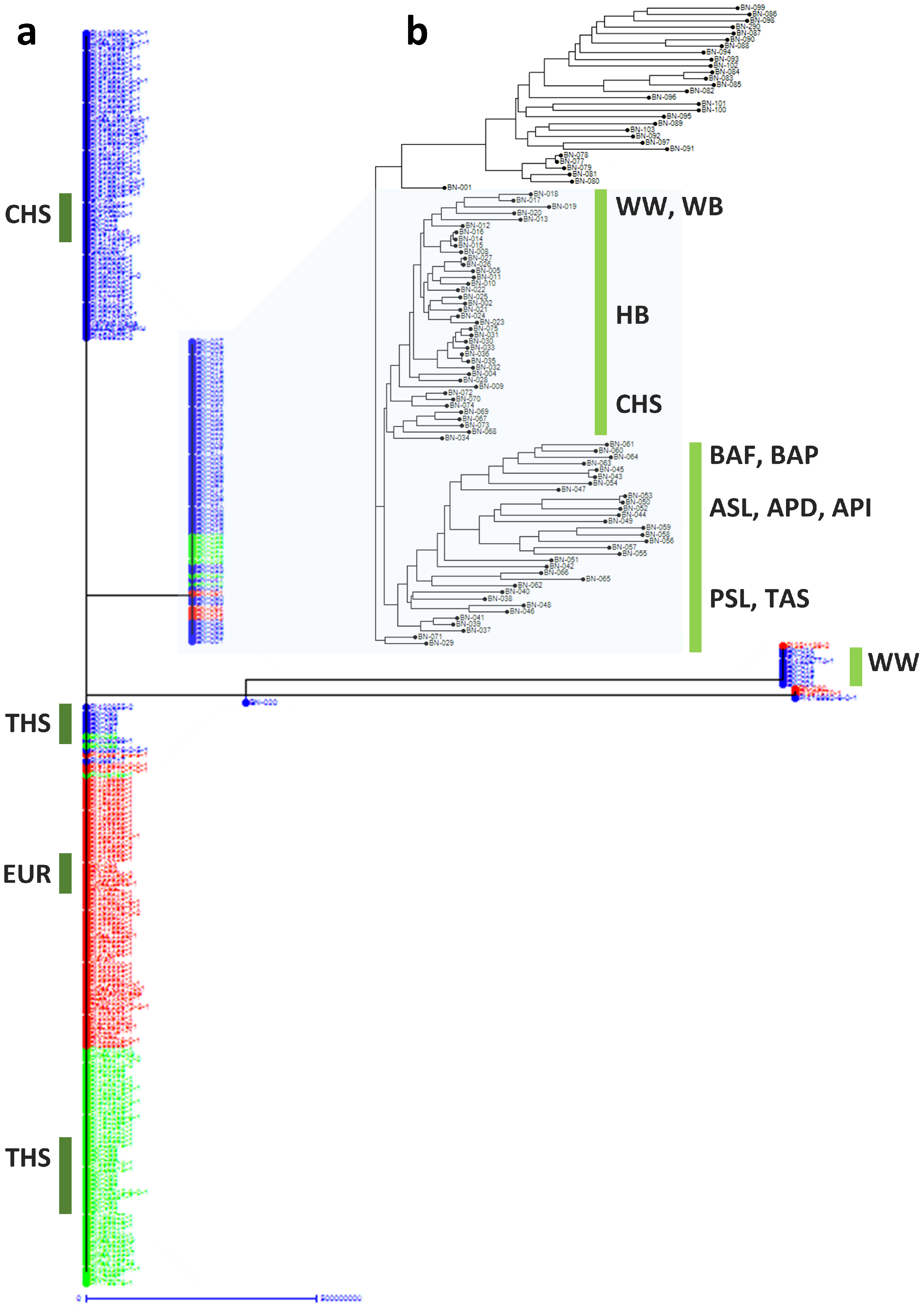Agronomy 10 01736 g004