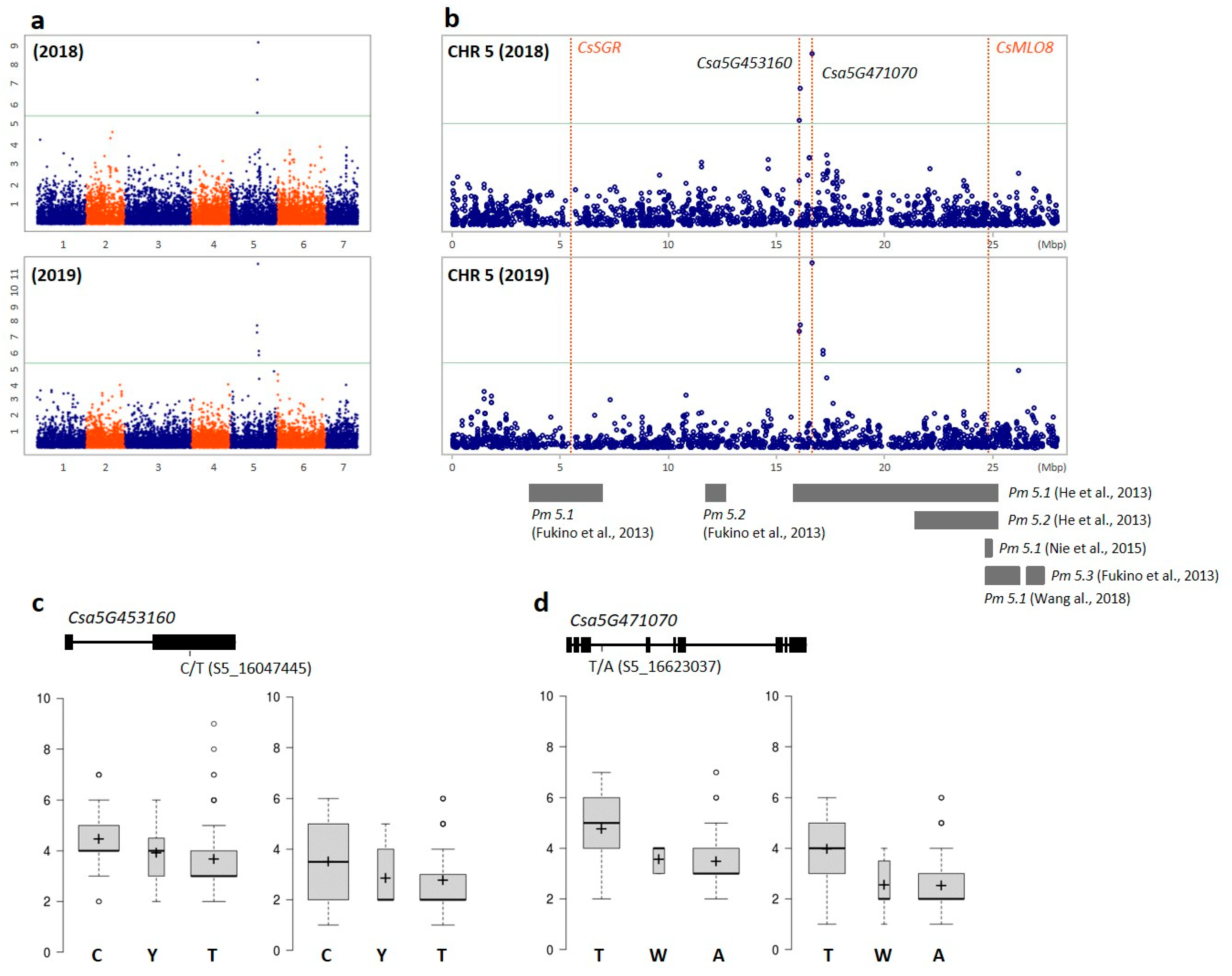 Agronomy 10 01736 g006