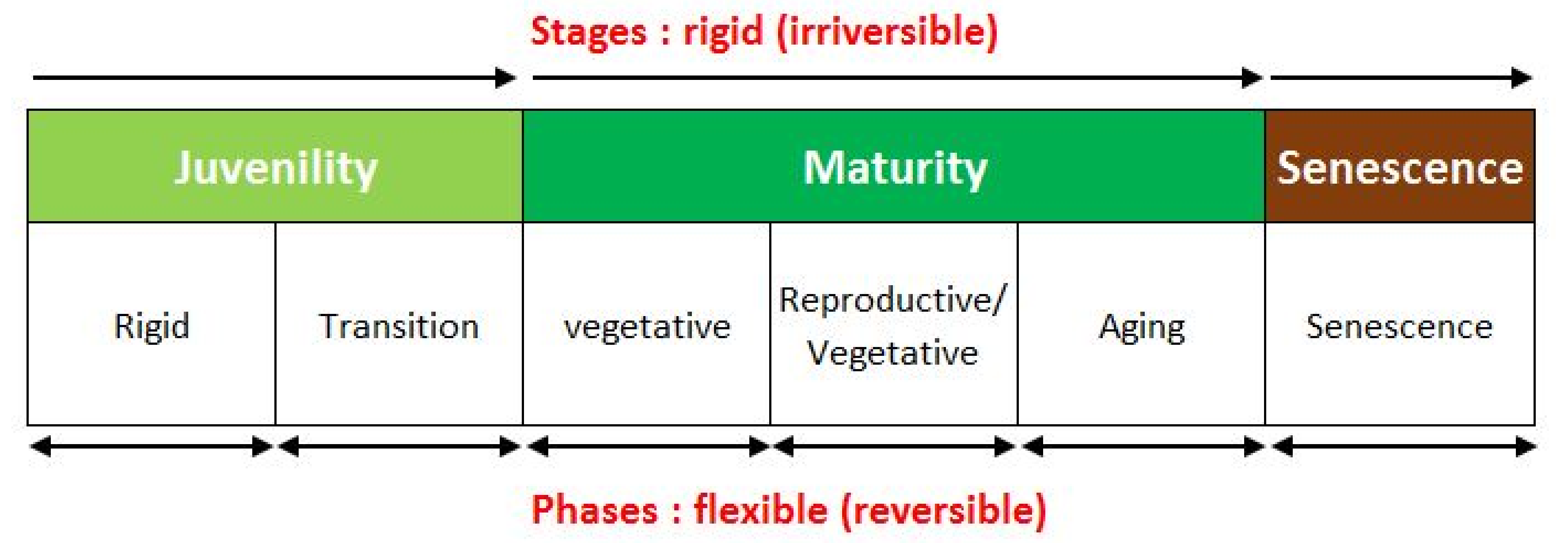 Agronomy 10 01742 g001