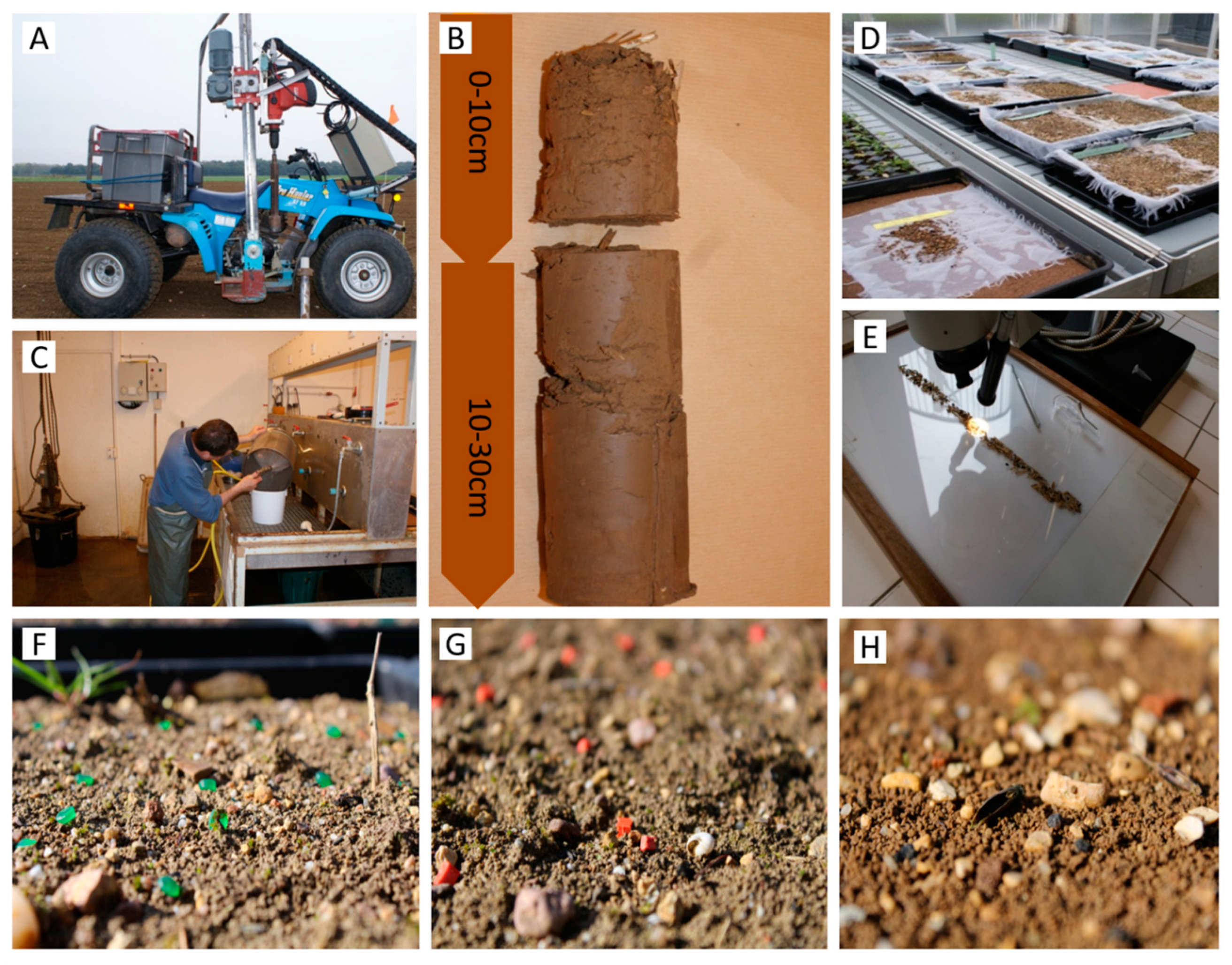 Agronomy 10 01746 g002