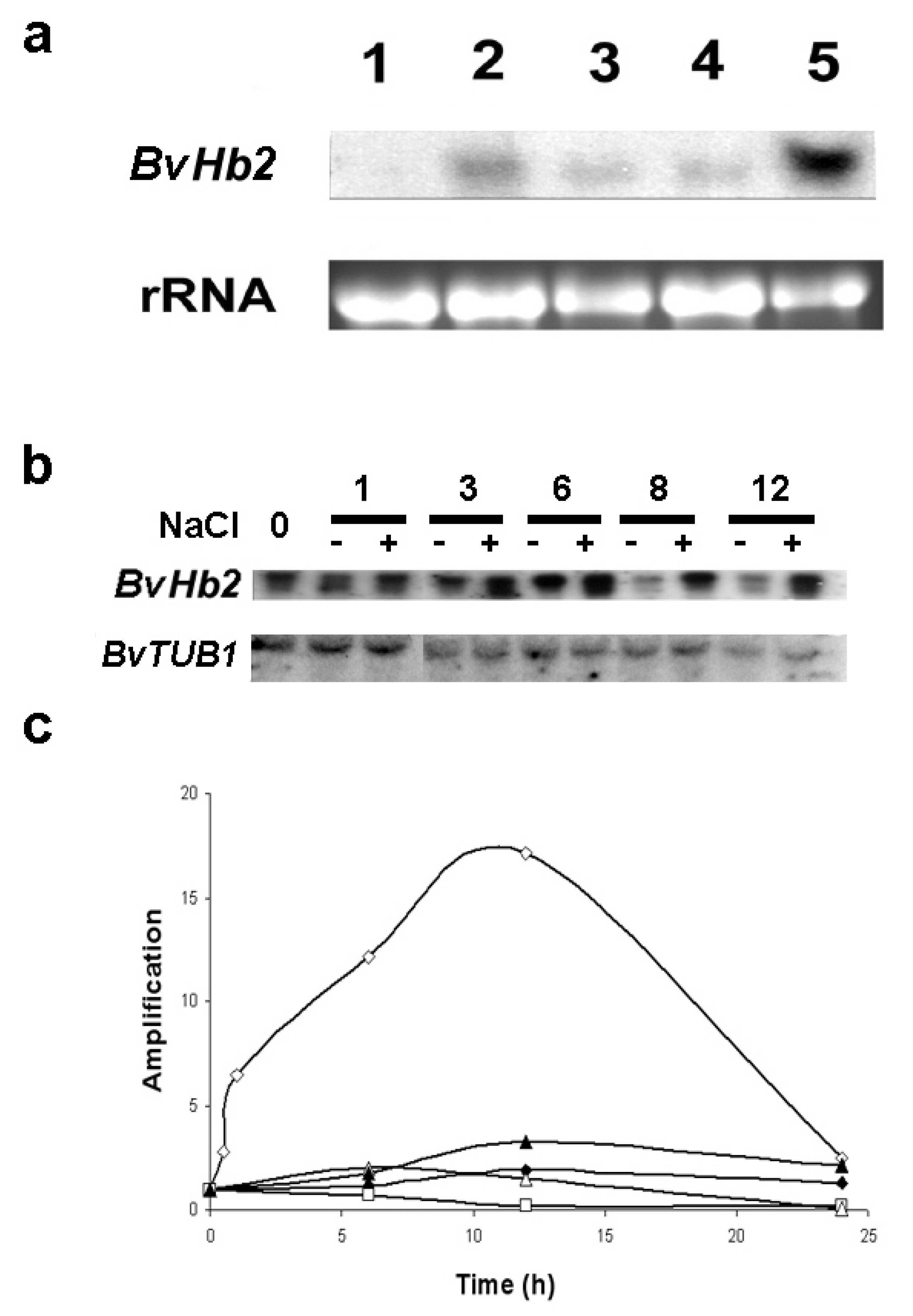 Agronomy 10 01754 g002