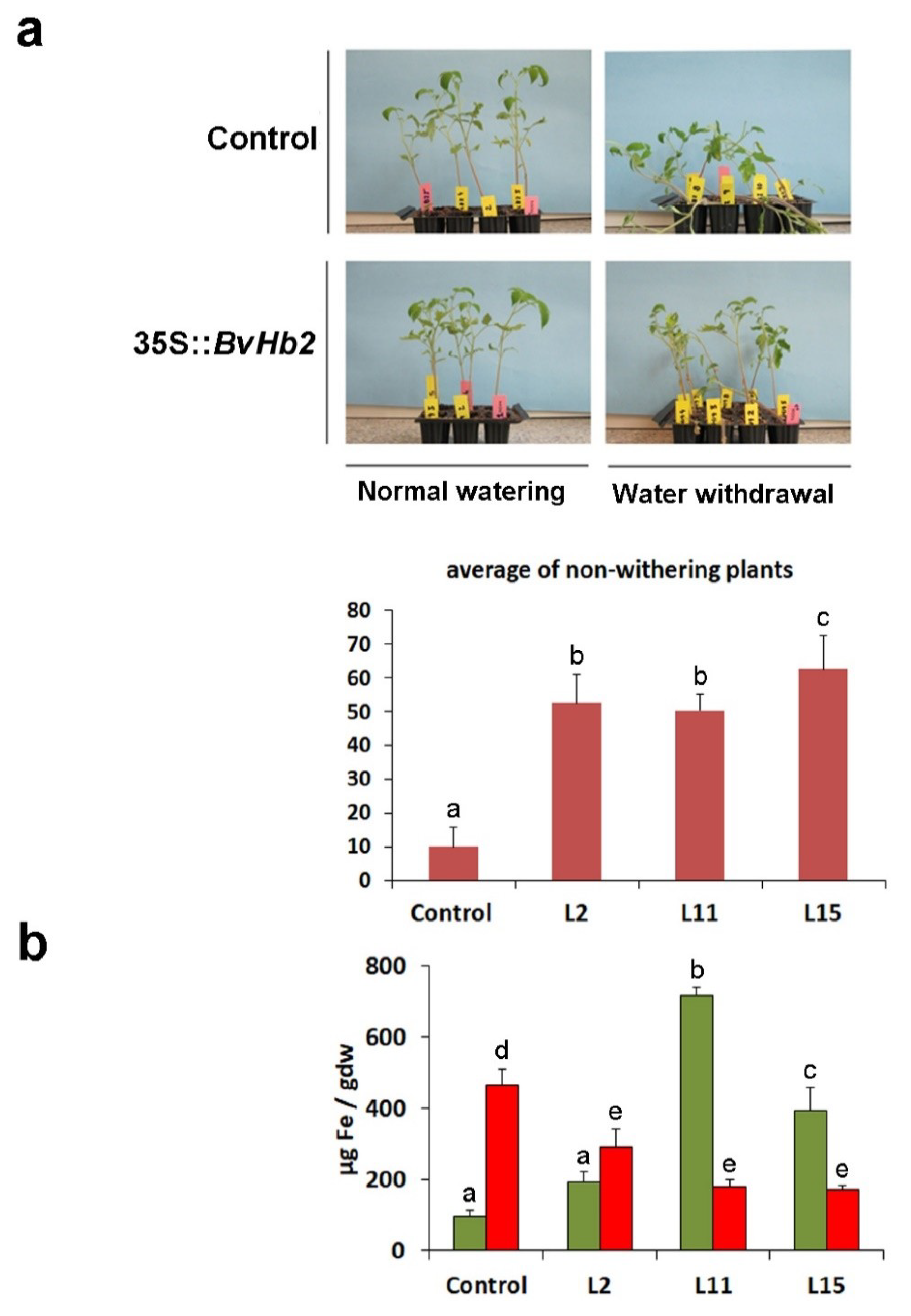 Agronomy 10 01754 g004