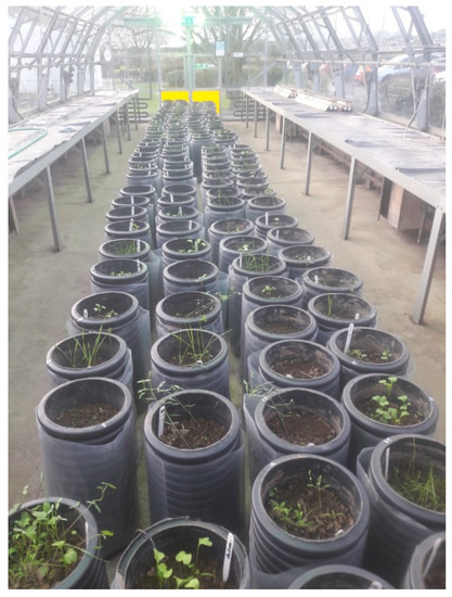 Agronomy 10 01760 g0a3