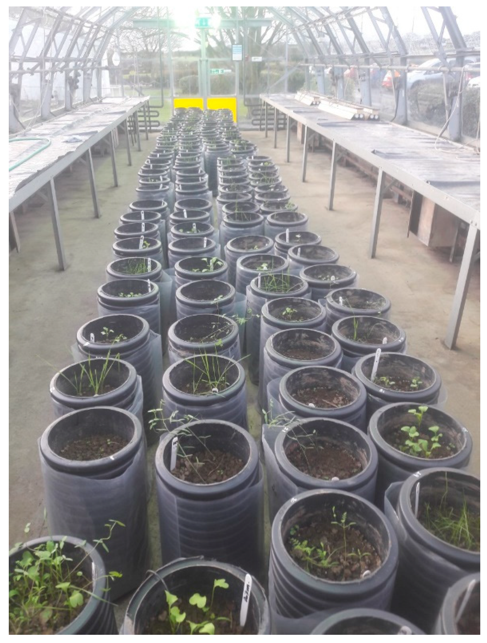 Agronomy 10 01760 g0a3 Agronomy 10 01760 g0a3