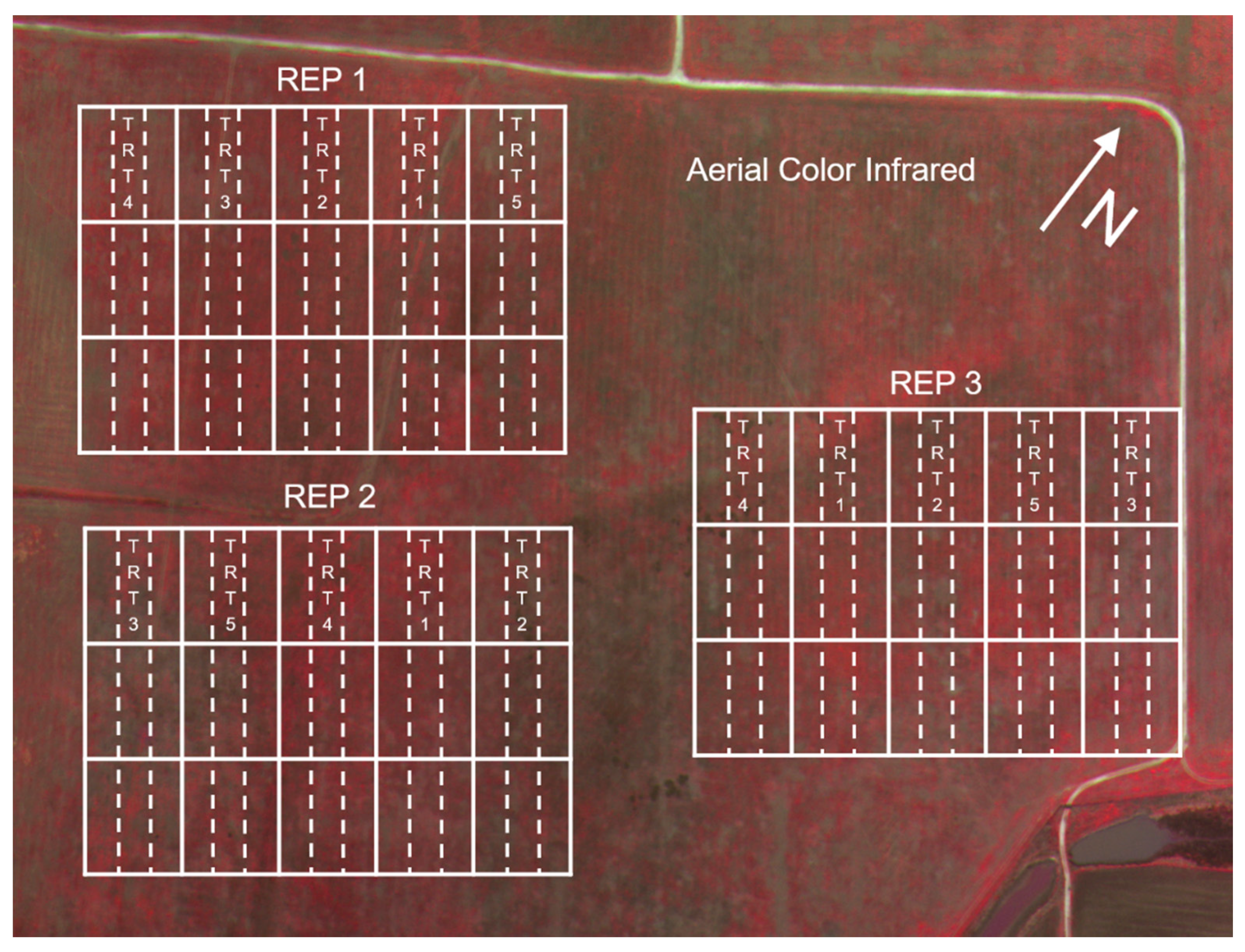 Agronomy 10 01764 g001