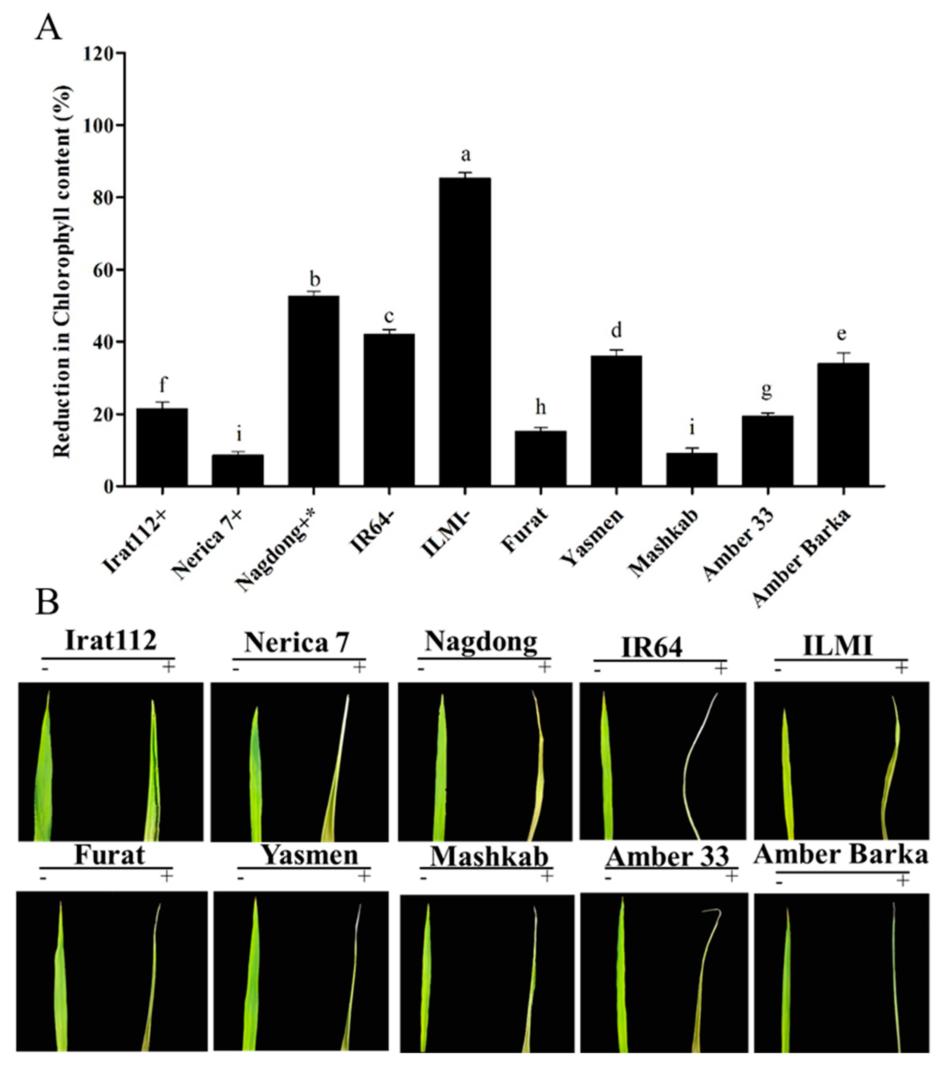 Agronomy 10 01782 g009