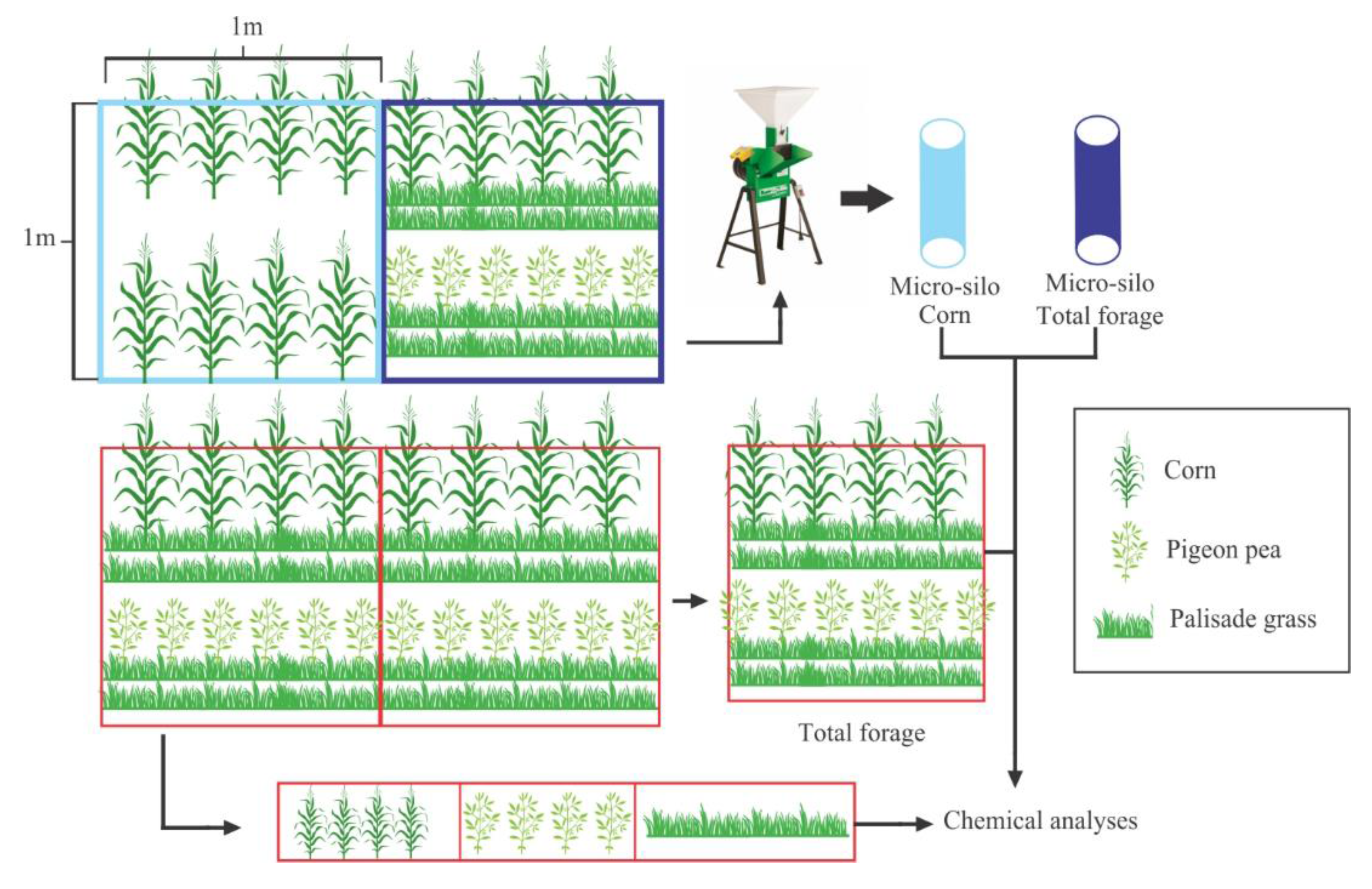 Agronomy 10 01784 g002 Agronomy 10 01784 g002