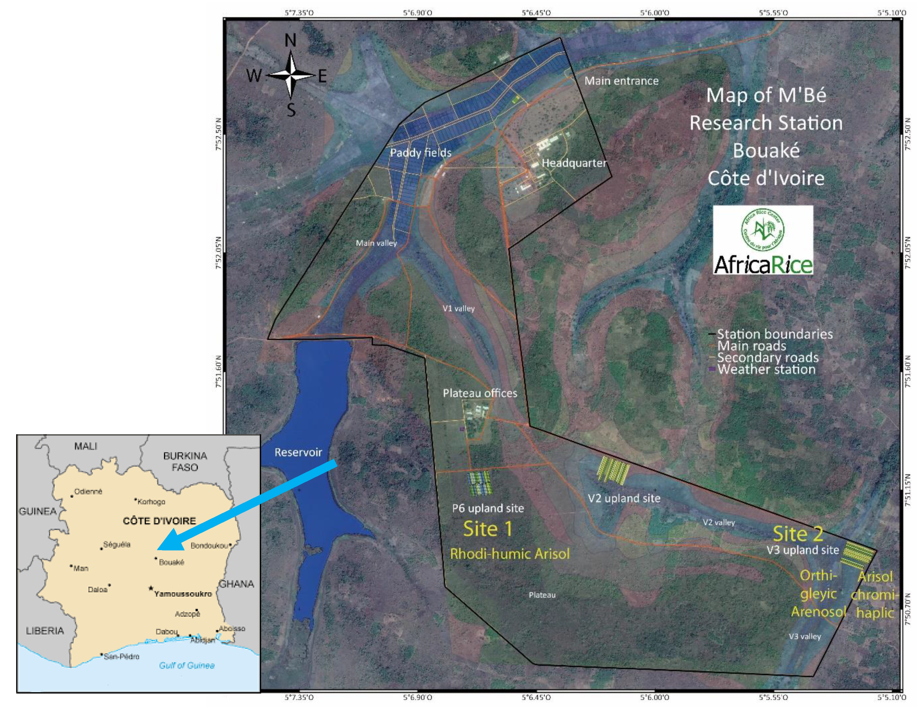 Agronomy 10 01787 g001