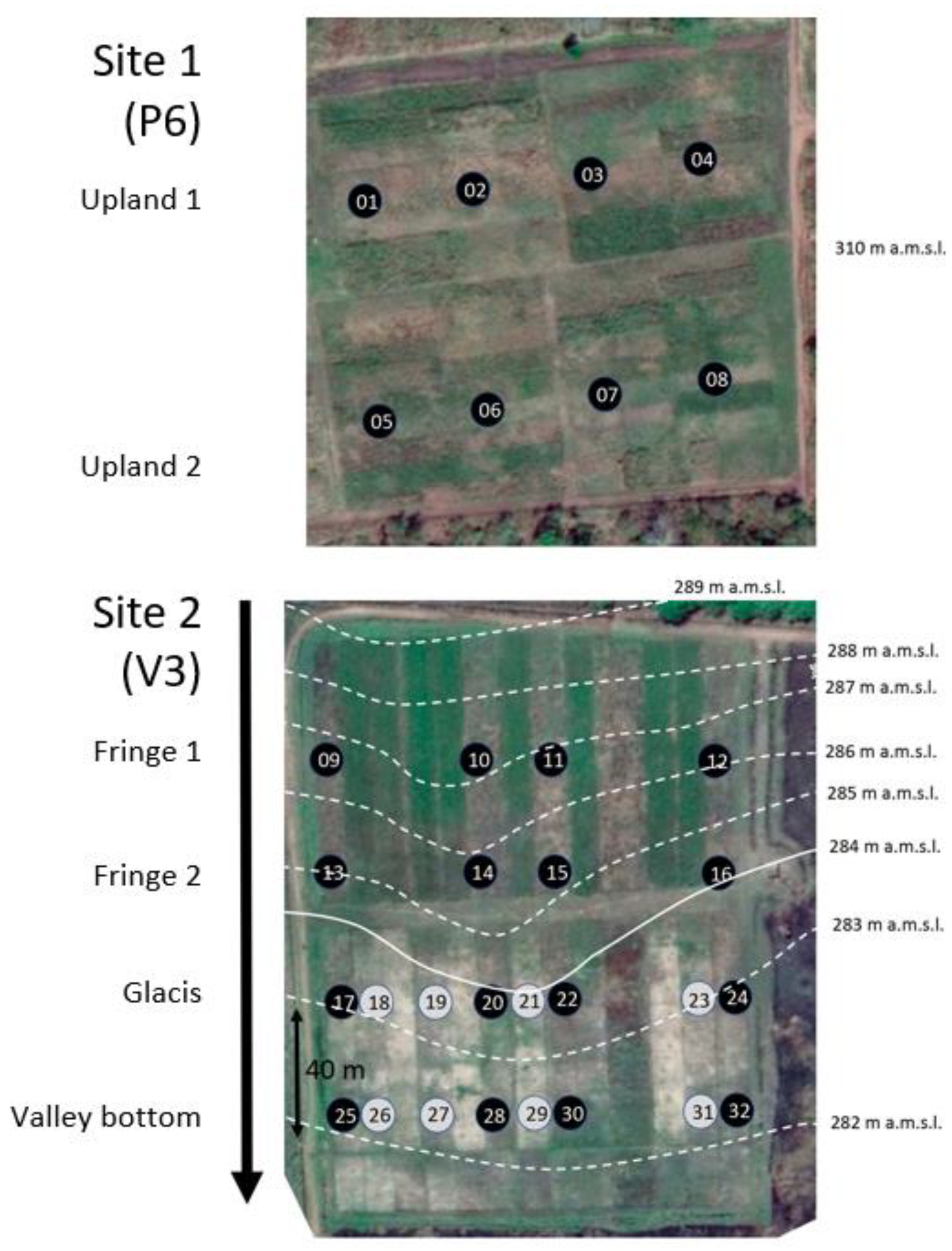 Agronomy 10 01787 g002