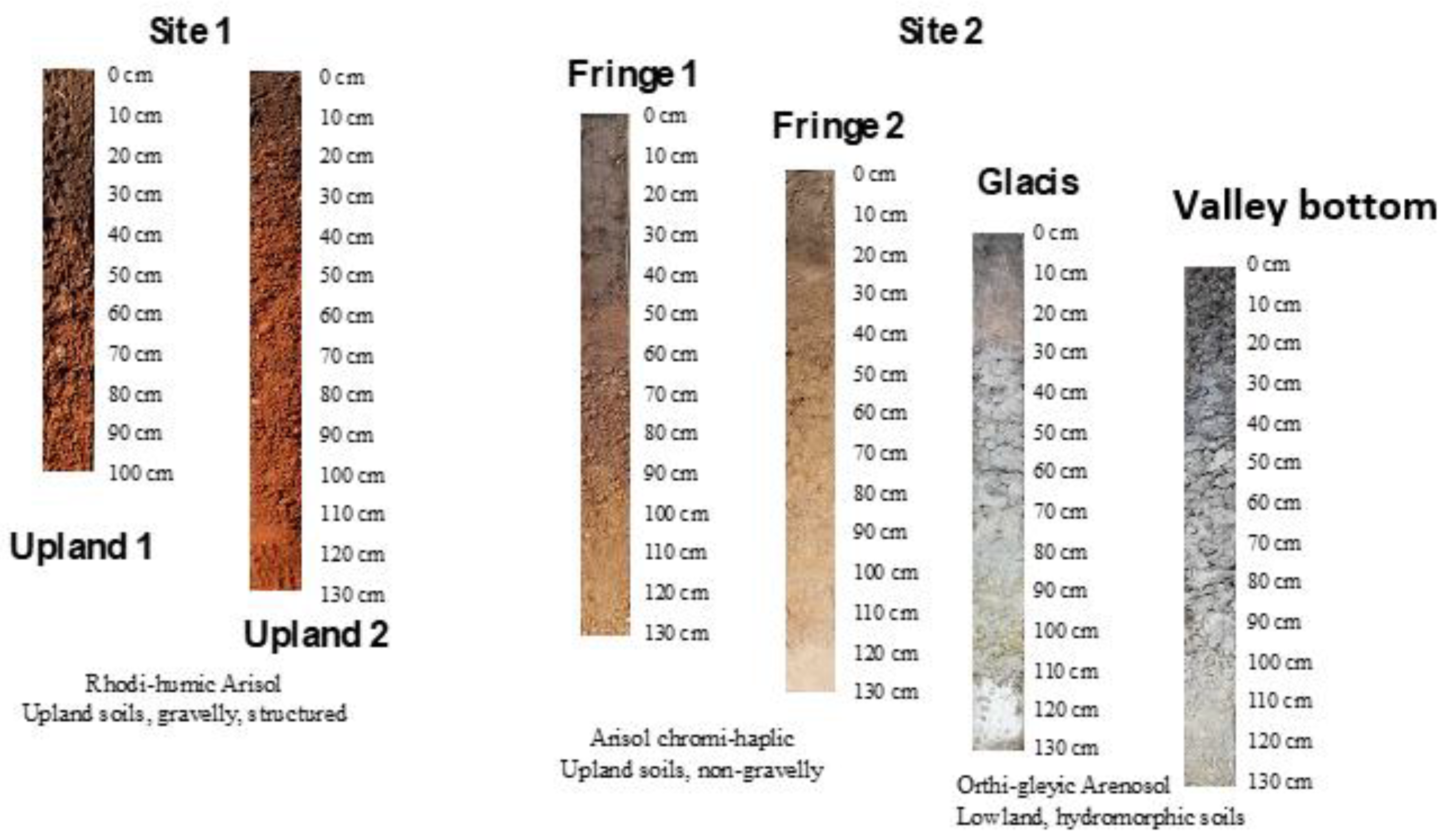 Agronomy 10 01787 g003