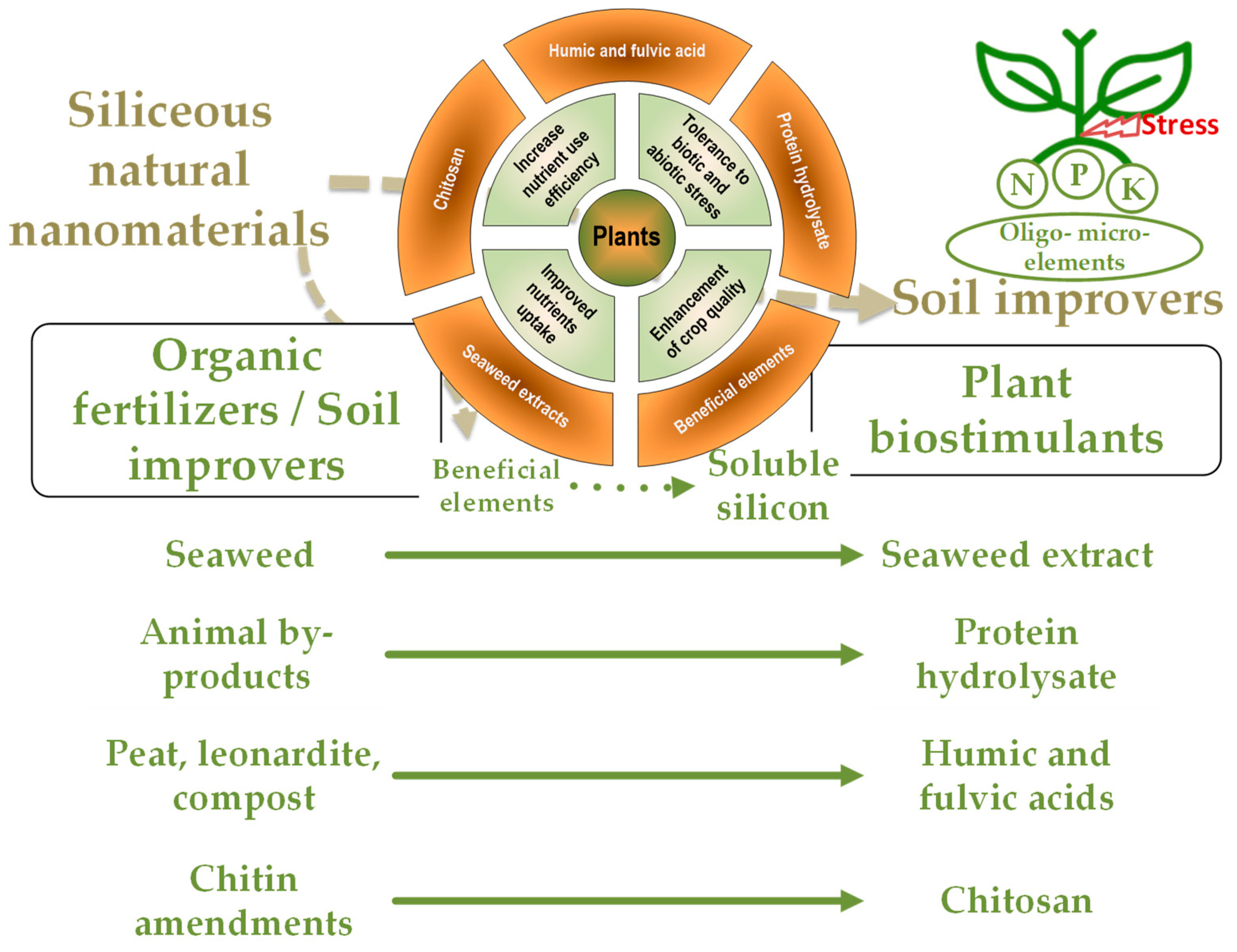Agronomy 10 01791 g002
