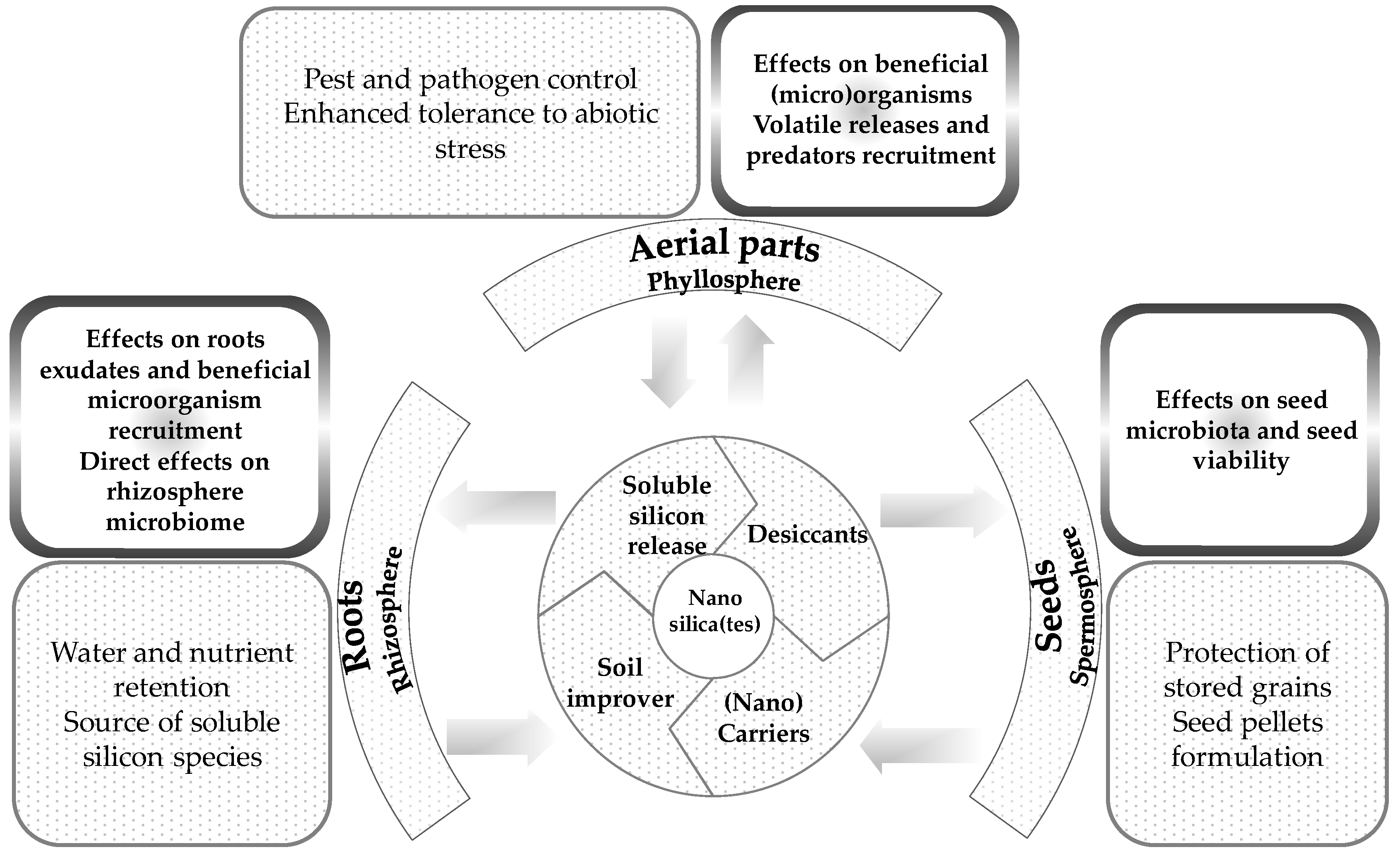 Agronomy 10 01791 g004