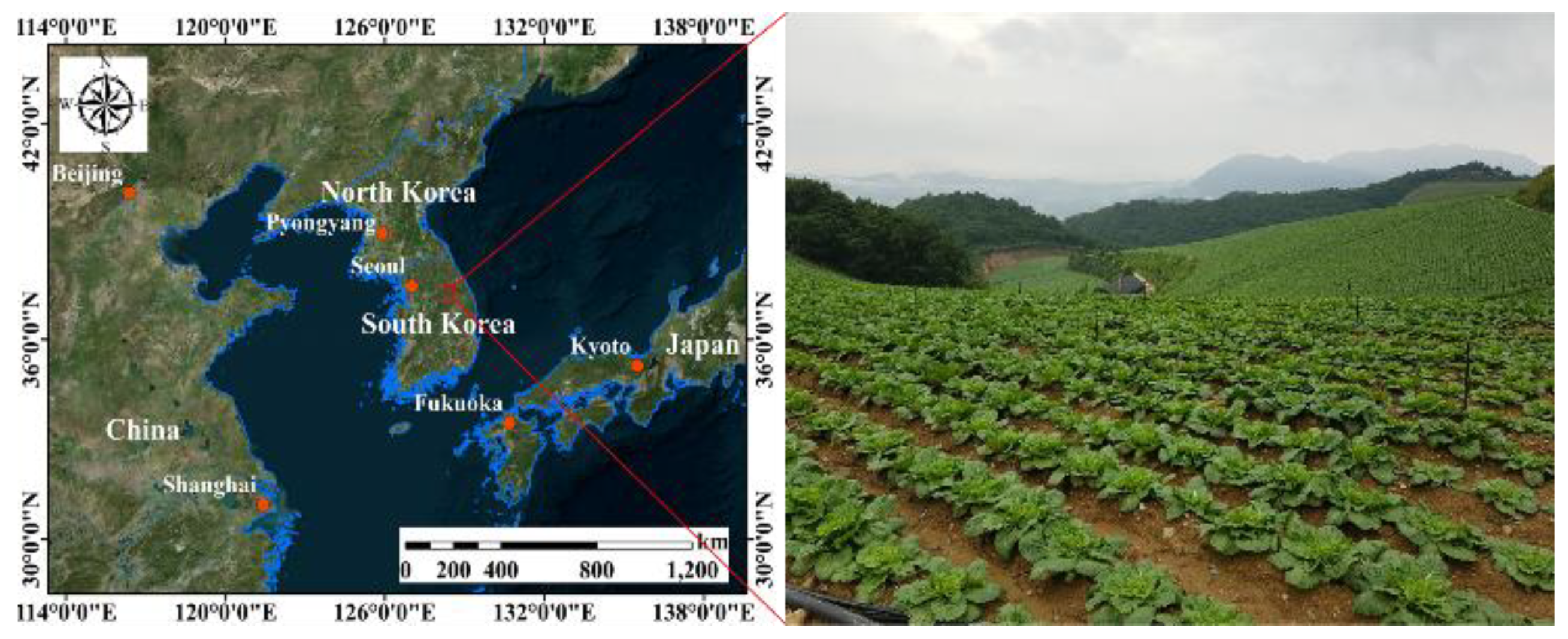 Agronomy 10 01798 g001 Agronomy 10 01798 g001