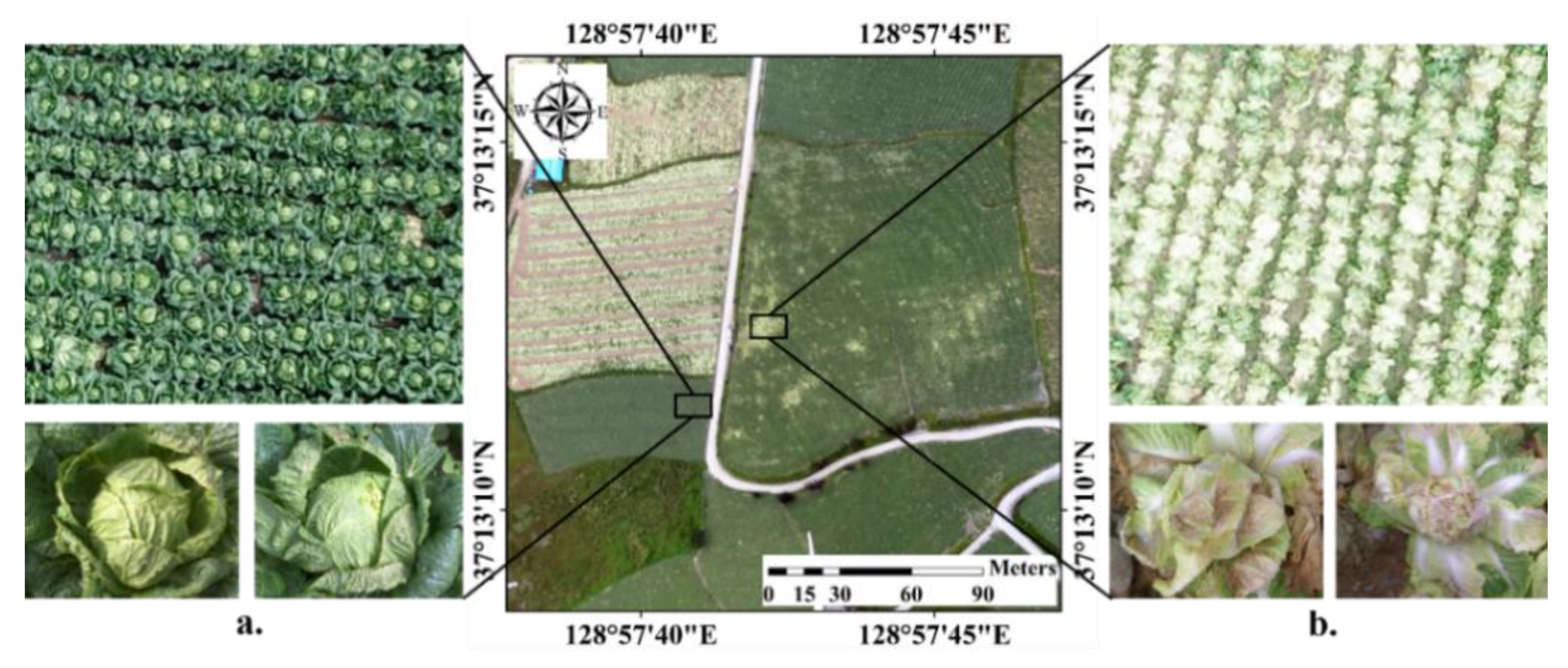 Agronomy 10 01798 g002 Agronomy 10 01798 g002