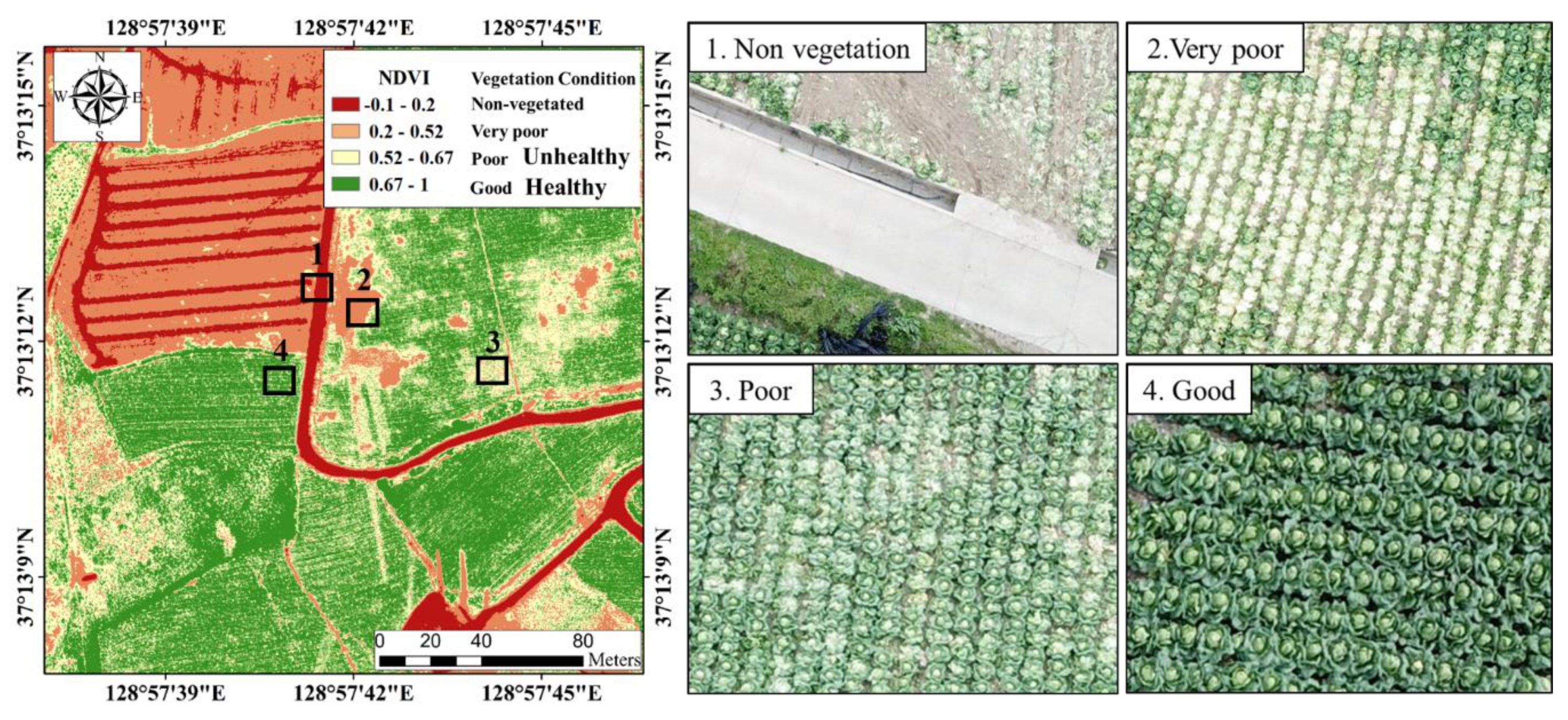 Agronomy 10 01798 g019 Agronomy 10 01798 g019