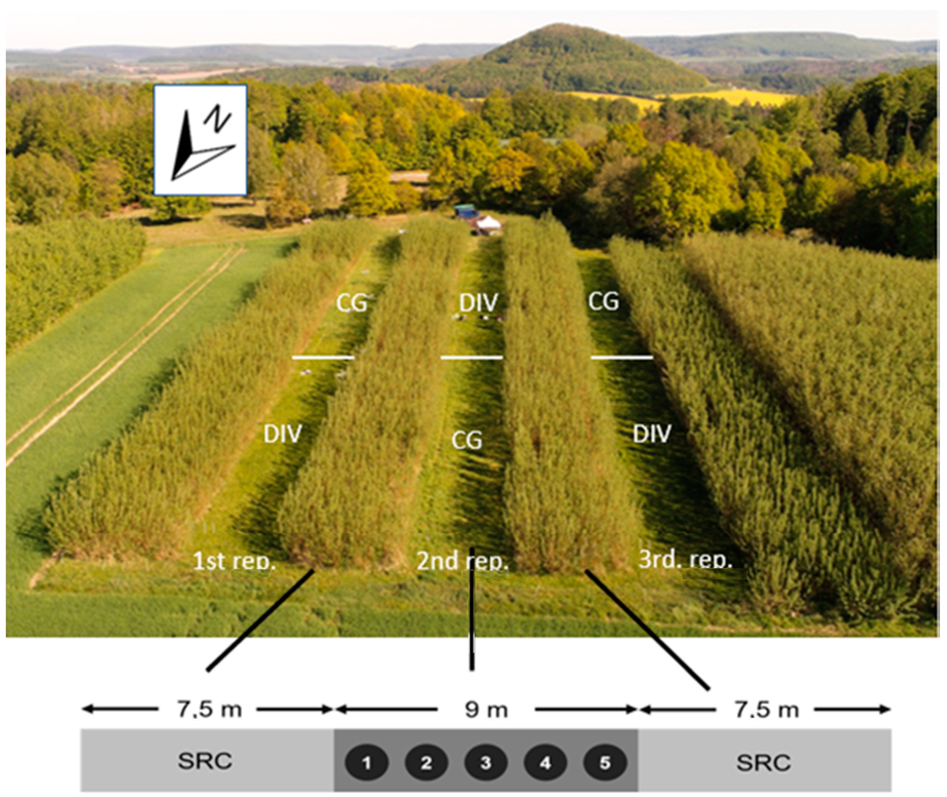 Agronomy 10 01819 g001