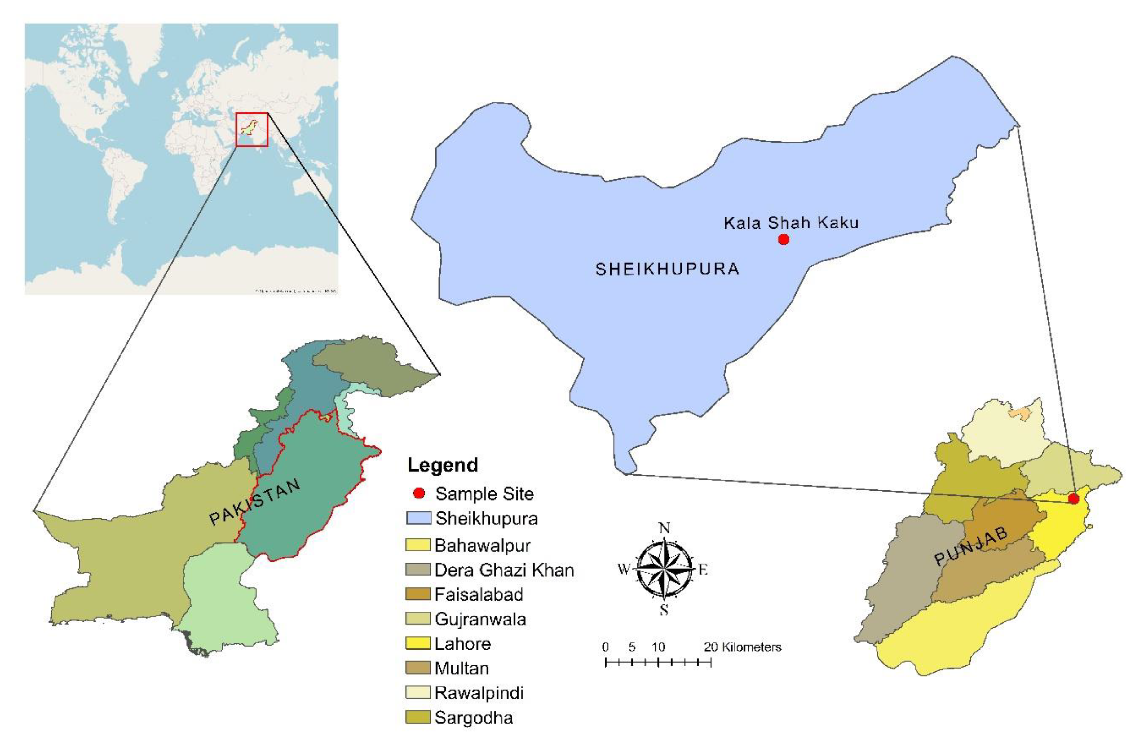 Agronomy 10 01844 g001