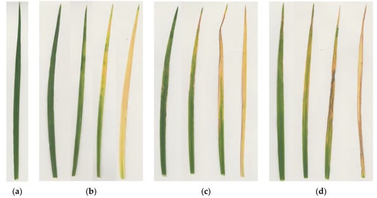 Agronomy 10 01853 g0a1