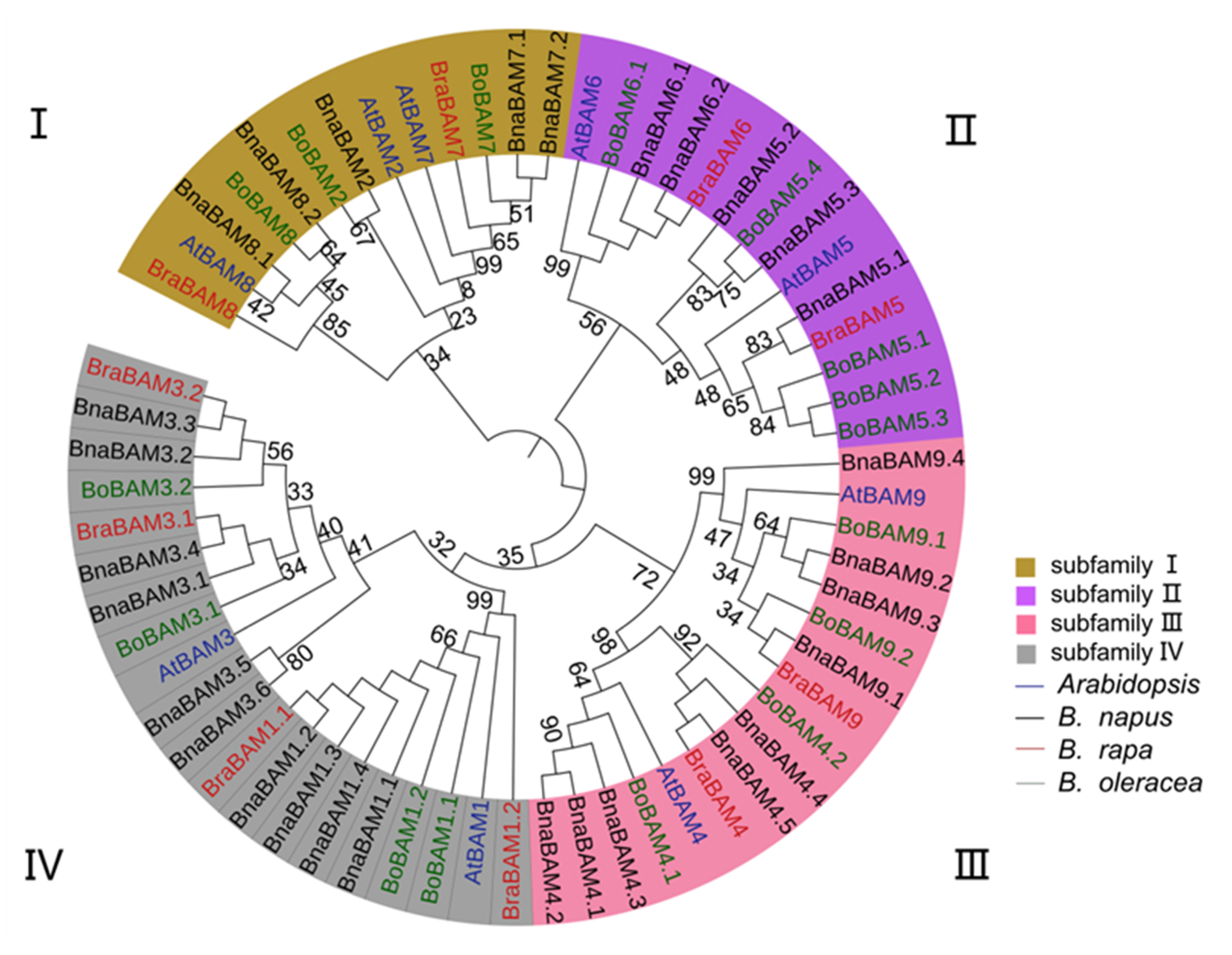 Agronomy 10 01855 g001