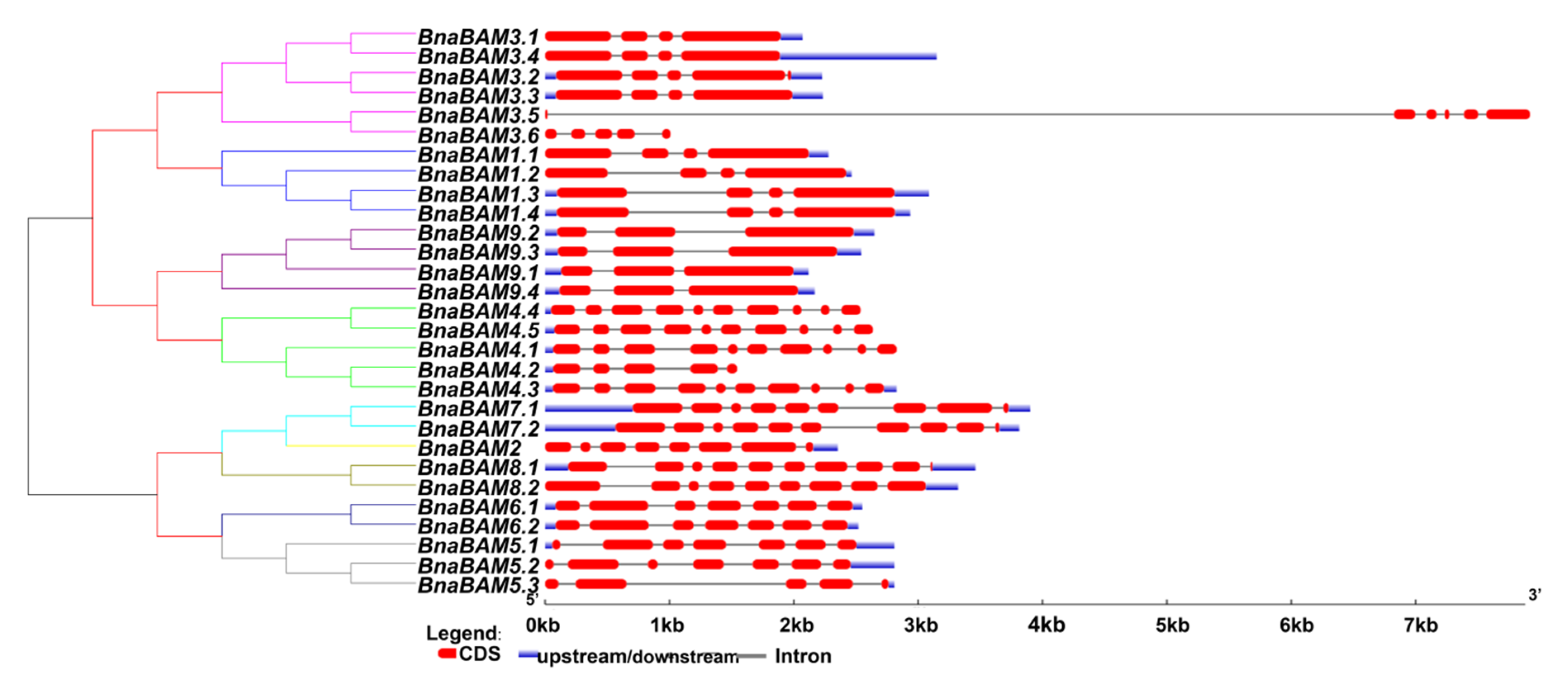 Agronomy 10 01855 g002