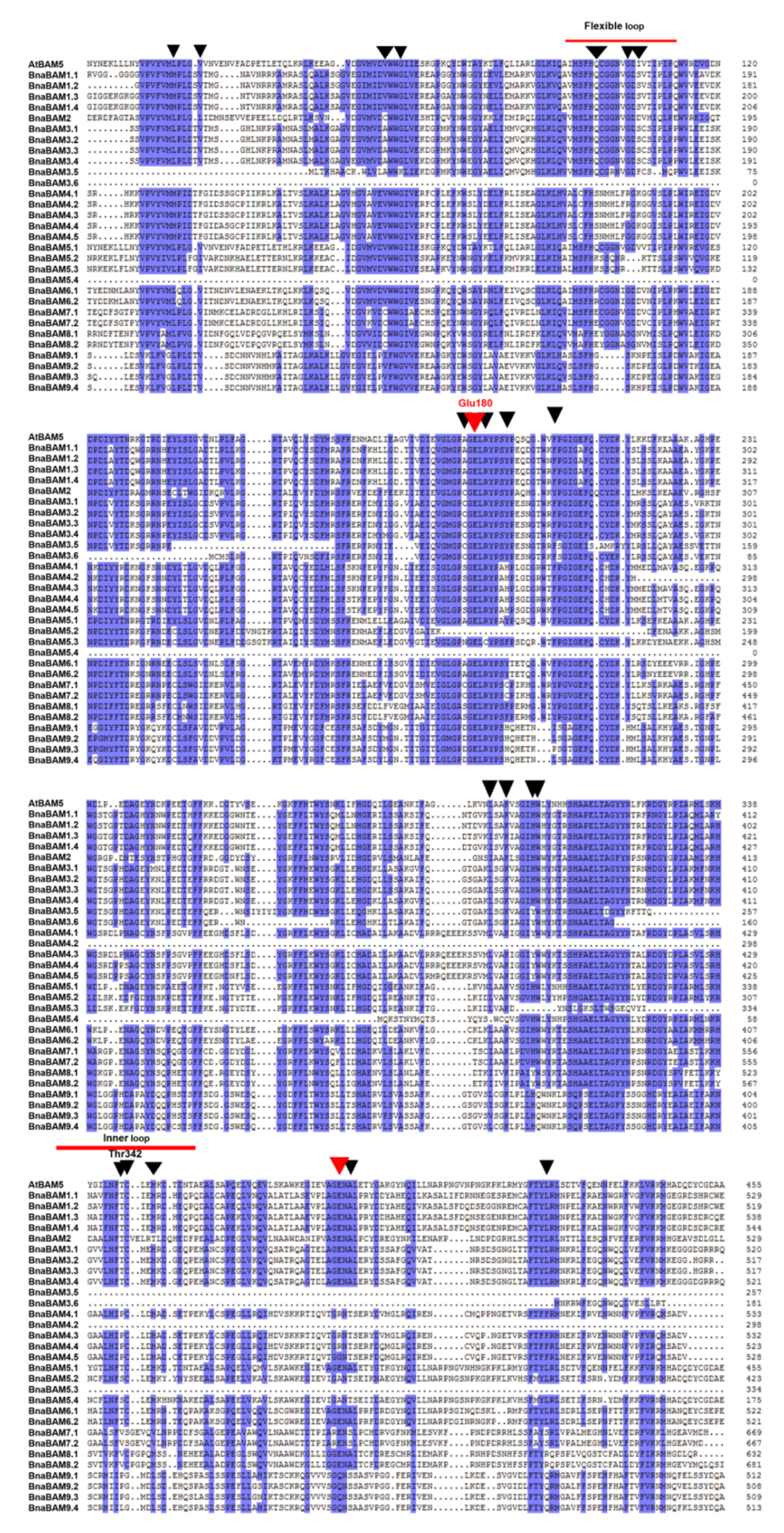 Agronomy 10 01855 g003