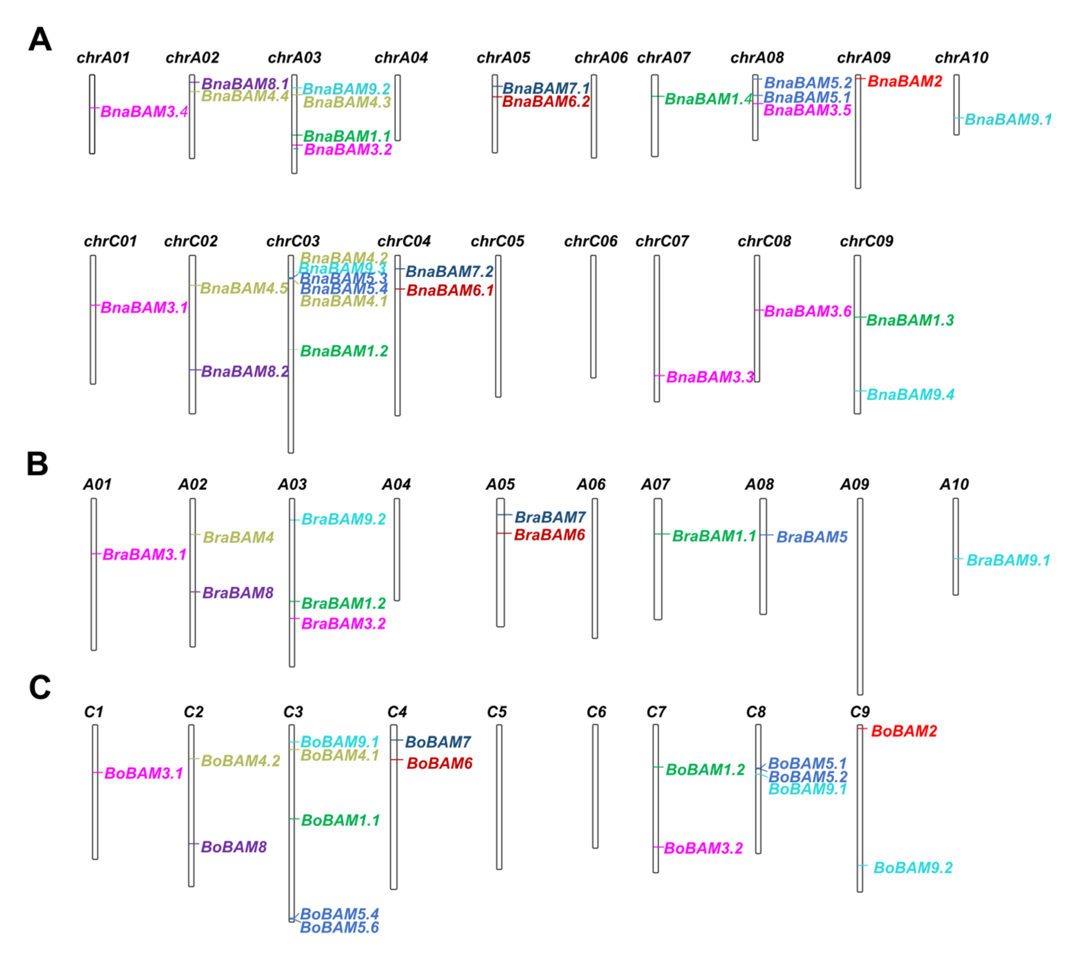 Agronomy 10 01855 g004