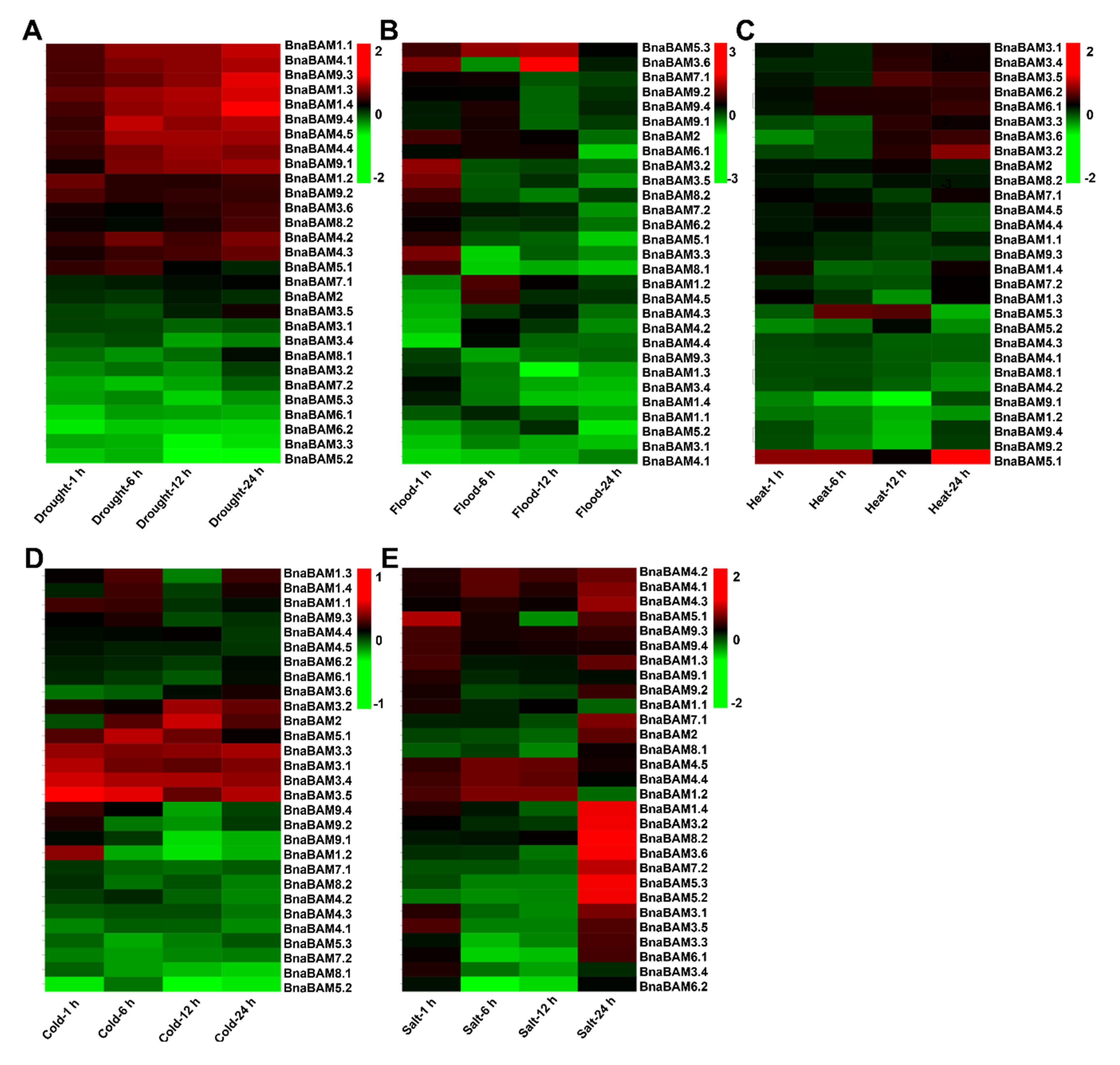Agronomy 10 01855 g006