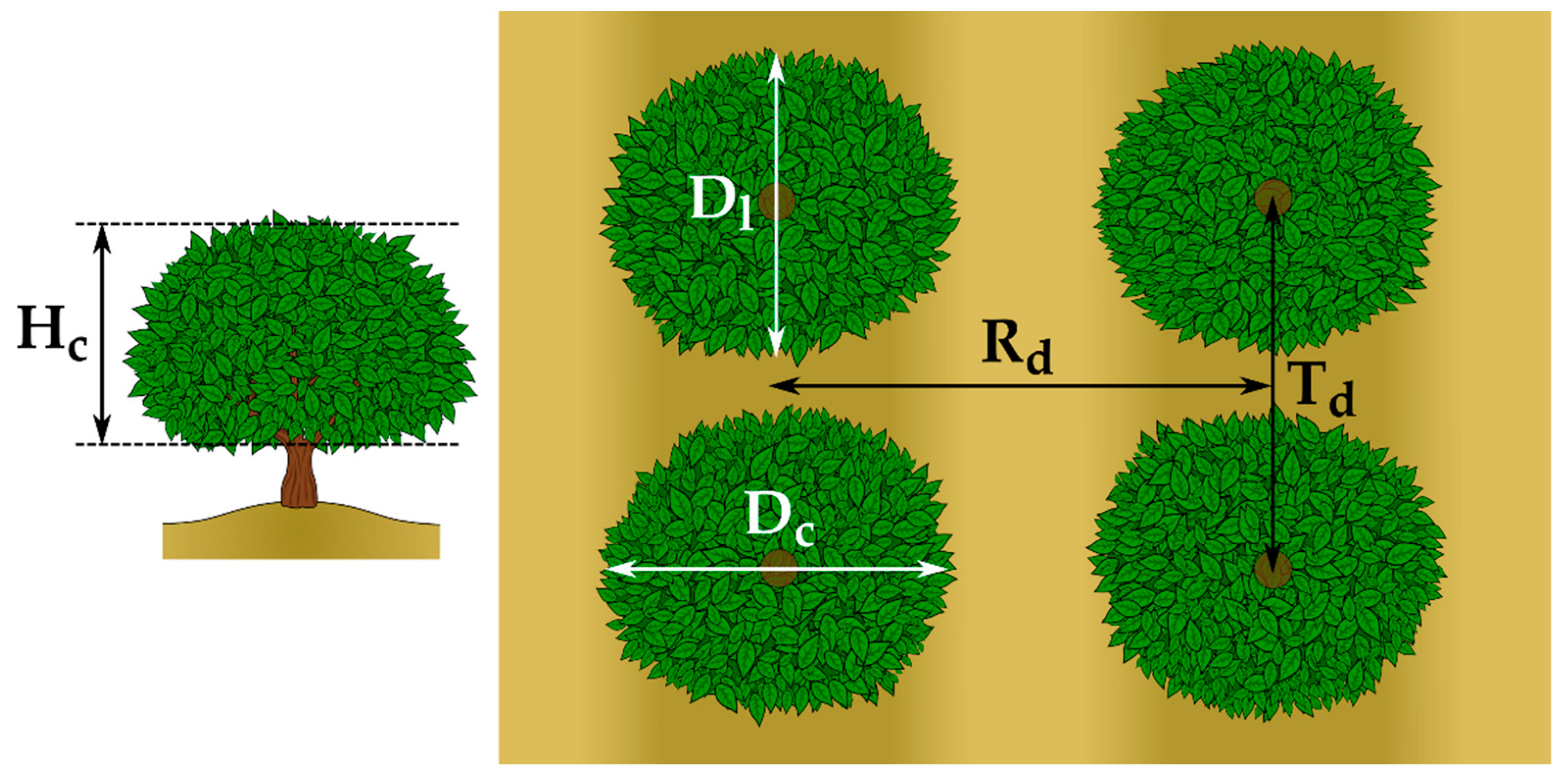 Agronomy 10 01887 g001 Agronomy 10 01887 g001