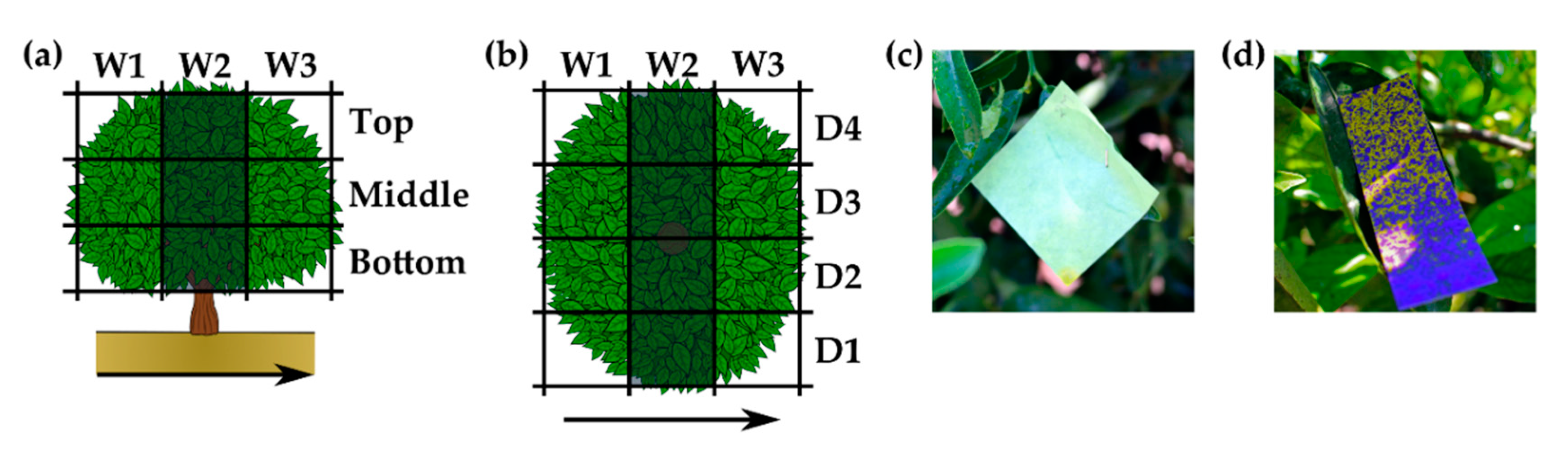 Agronomy 10 01887 g006 Agronomy 10 01887 g006