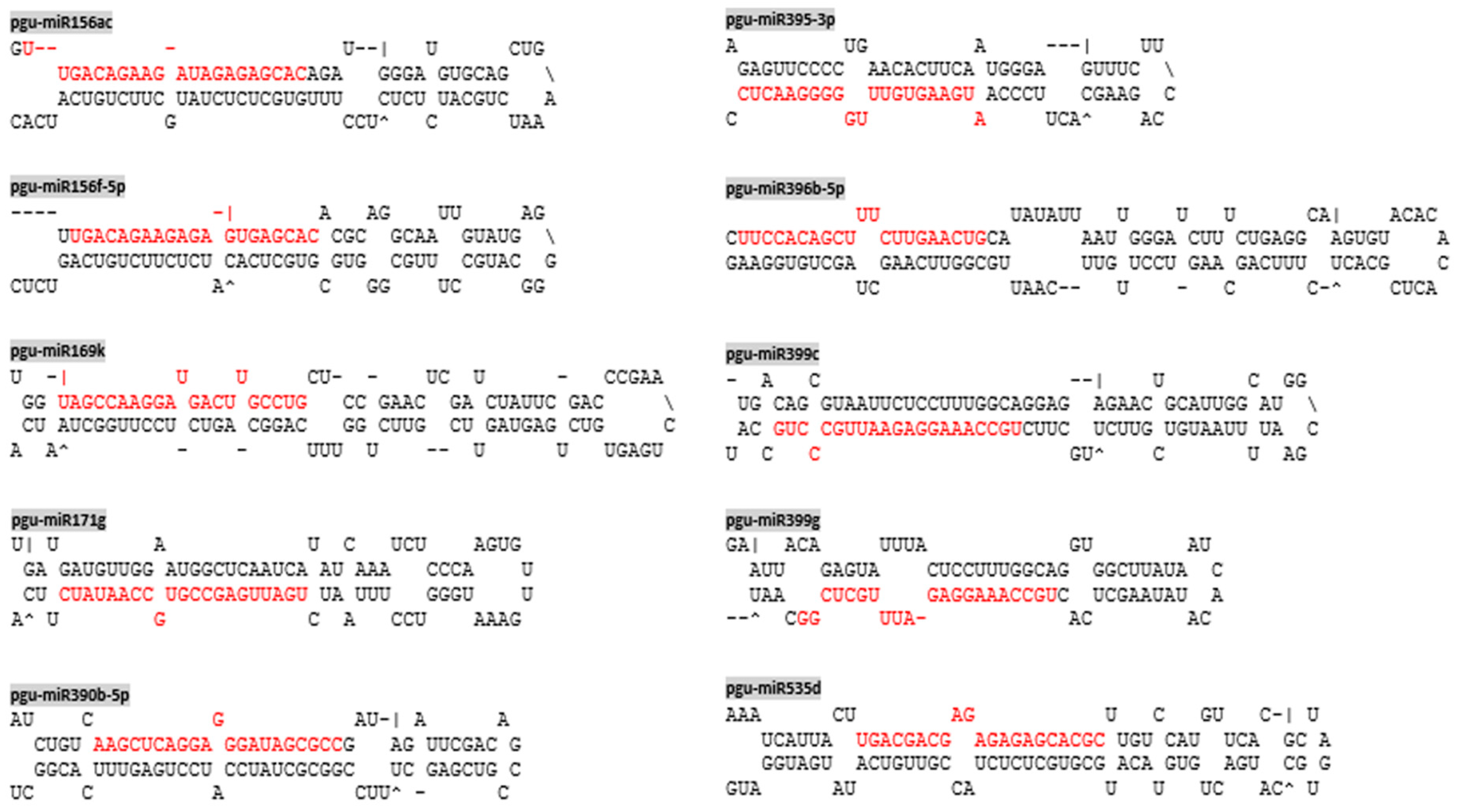 Agronomy 10 01920 g002 Agronomy 10 01920 g002