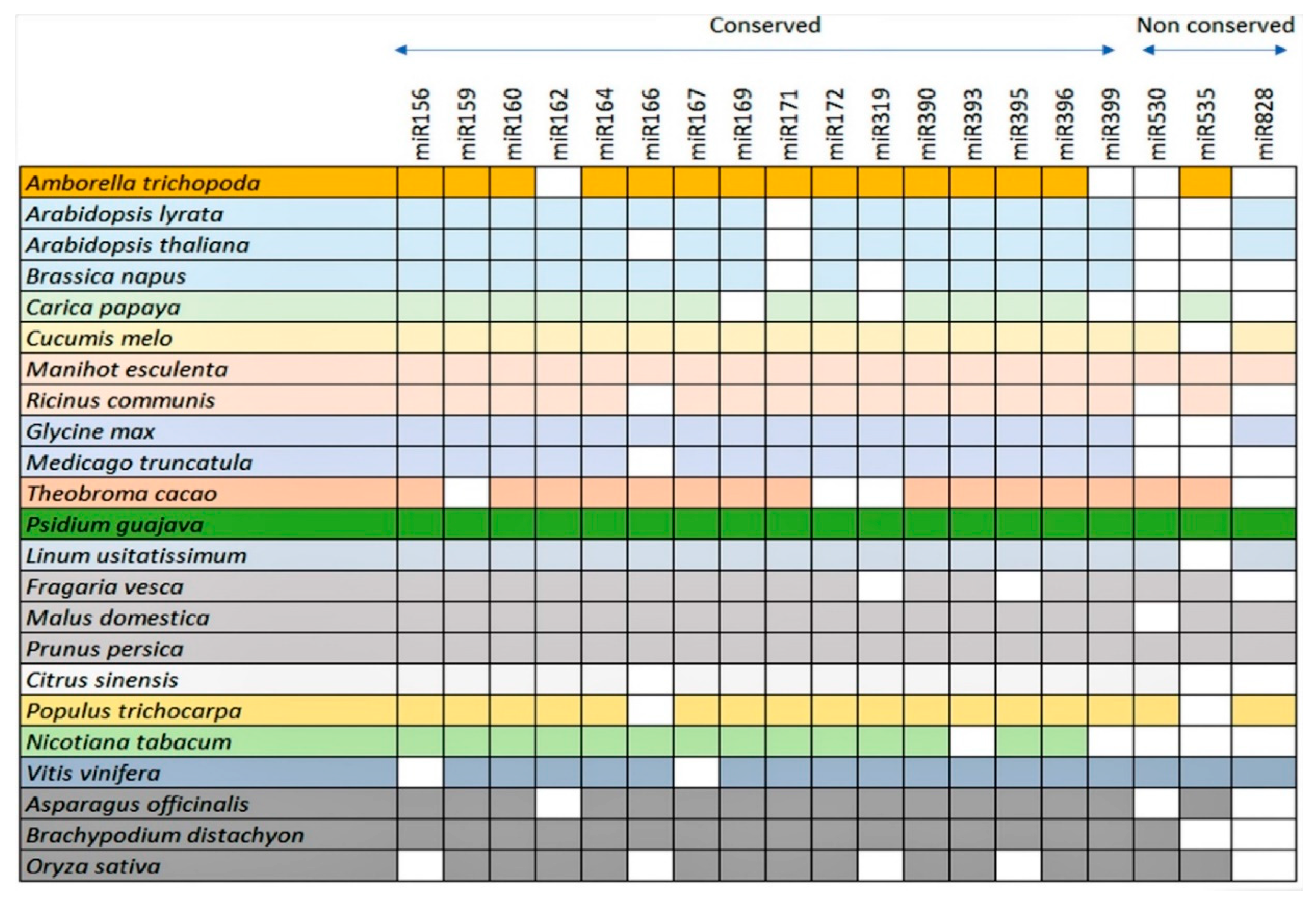 Agronomy 10 01920 g003 Agronomy 10 01920 g003