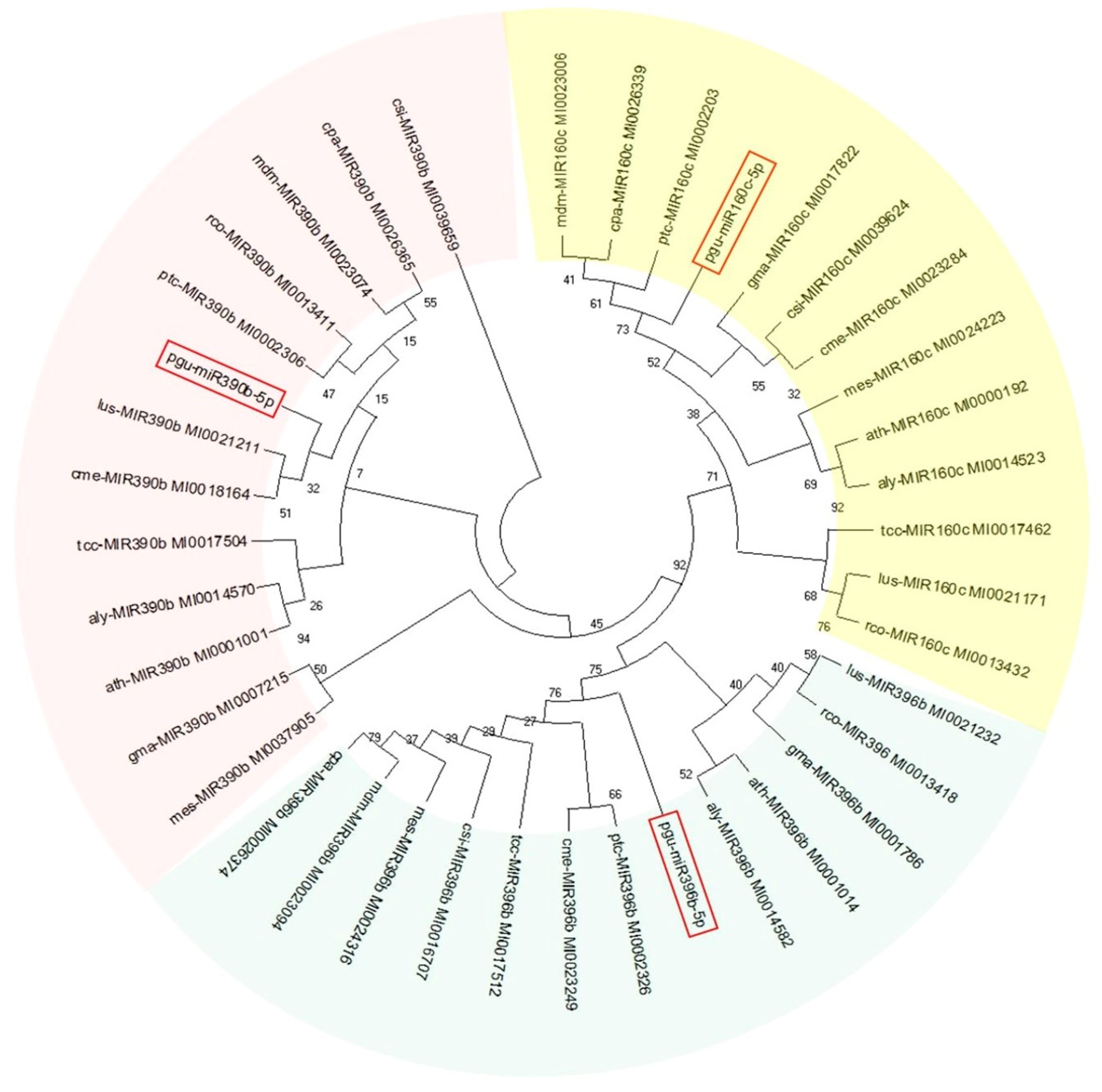 Agronomy 10 01920 g005 Agronomy 10 01920 g005
