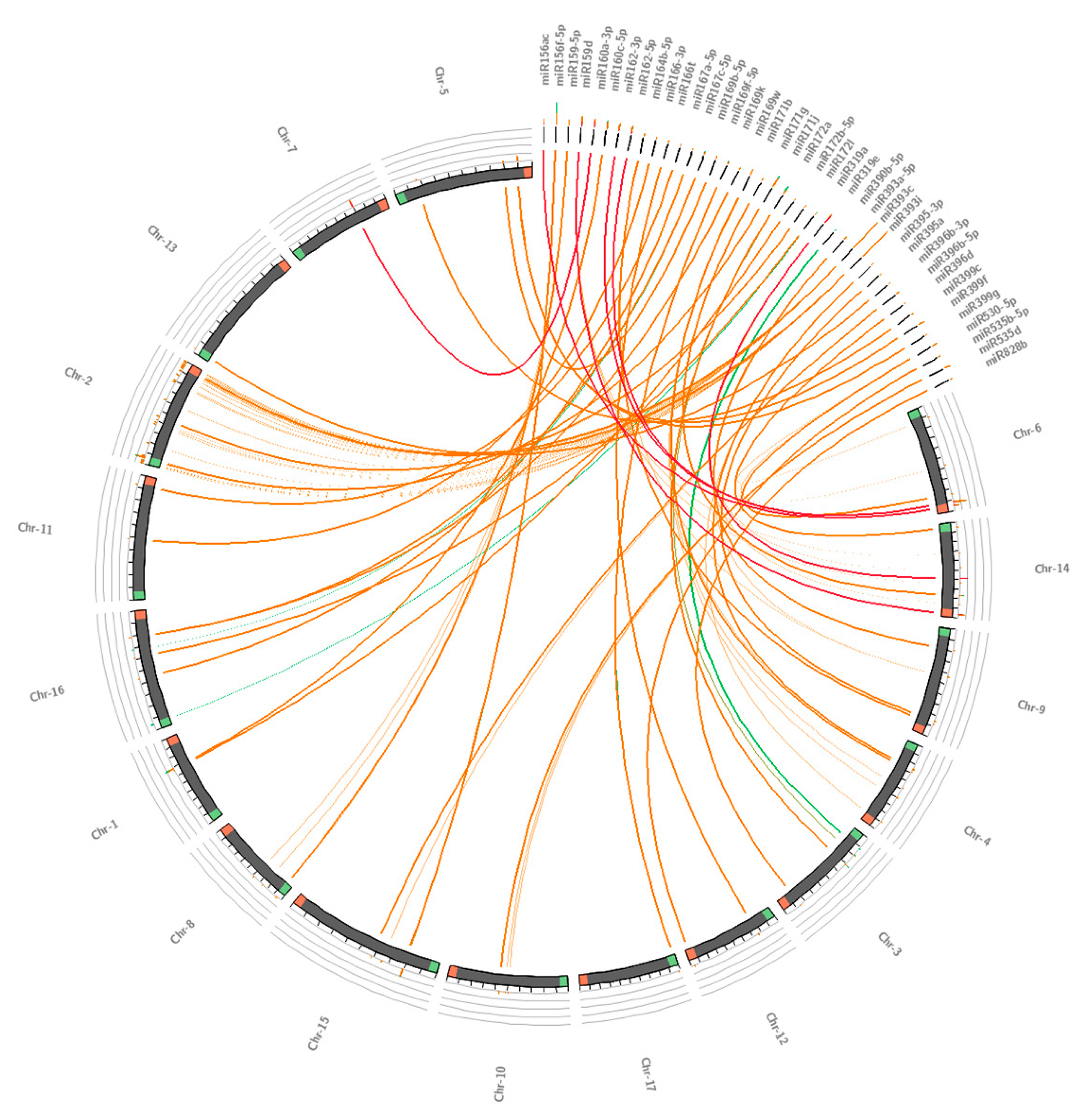 Agronomy 10 01920 g006 Agronomy 10 01920 g006