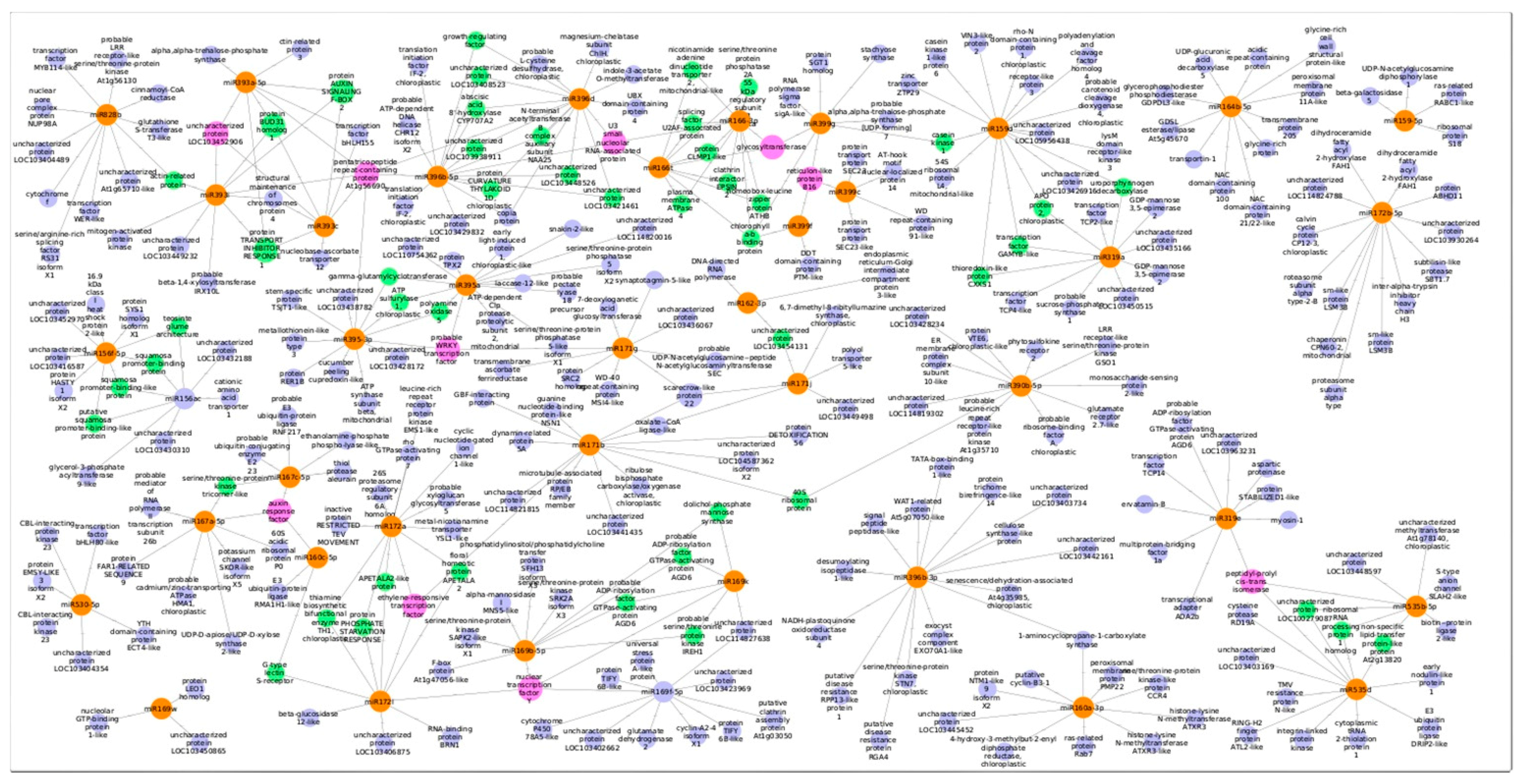 Agronomy 10 01920 g009 Agronomy 10 01920 g009