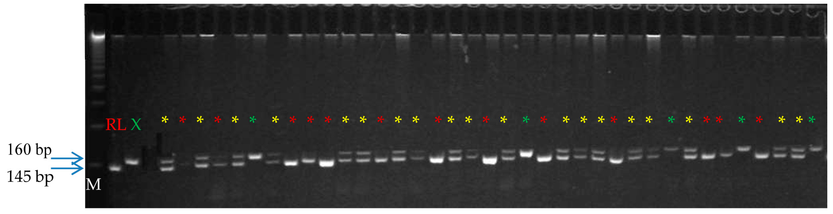 Agronomy 10 01940 g004 Agronomy 10 01940 g004