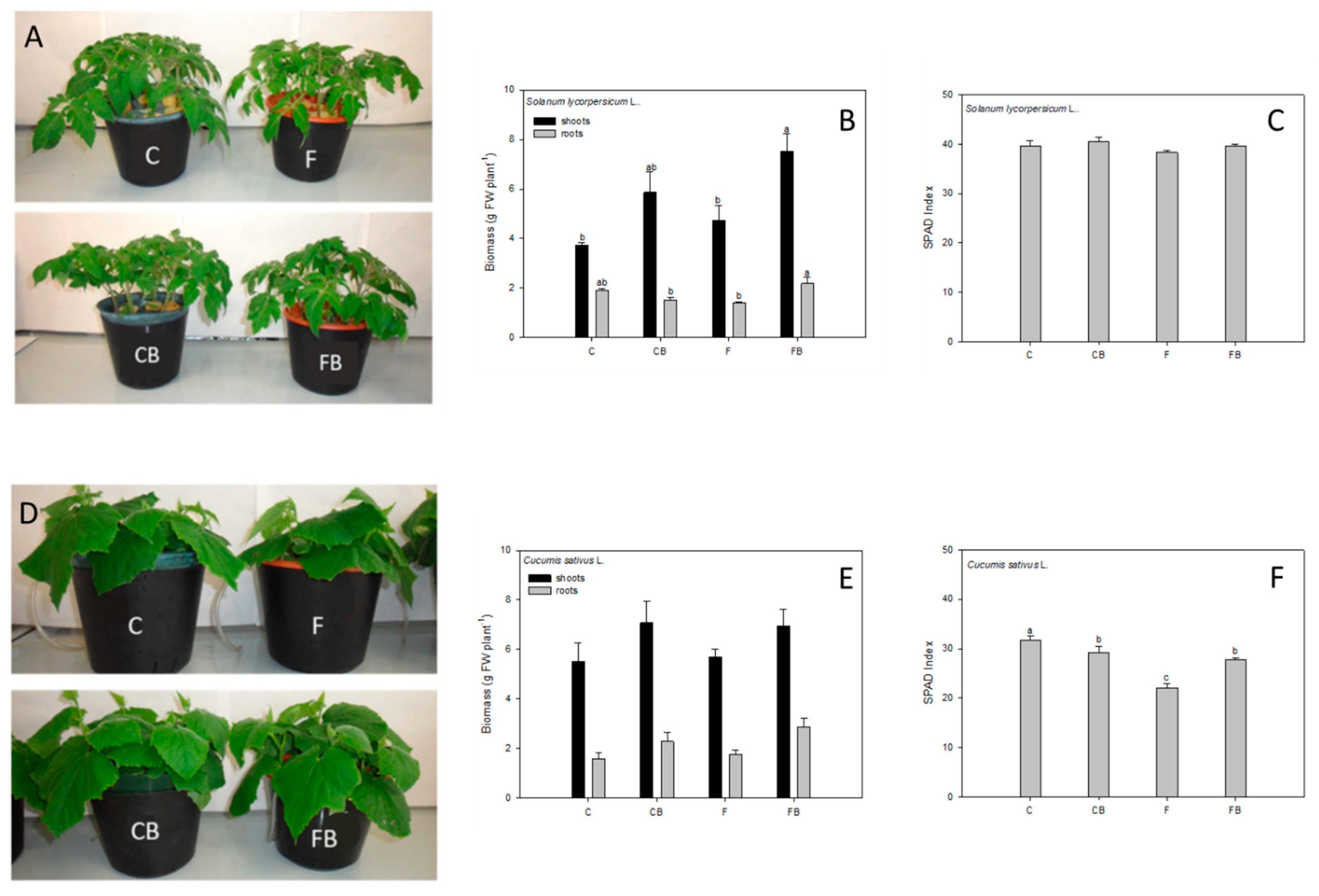 Agronomy 10 01942 g001
