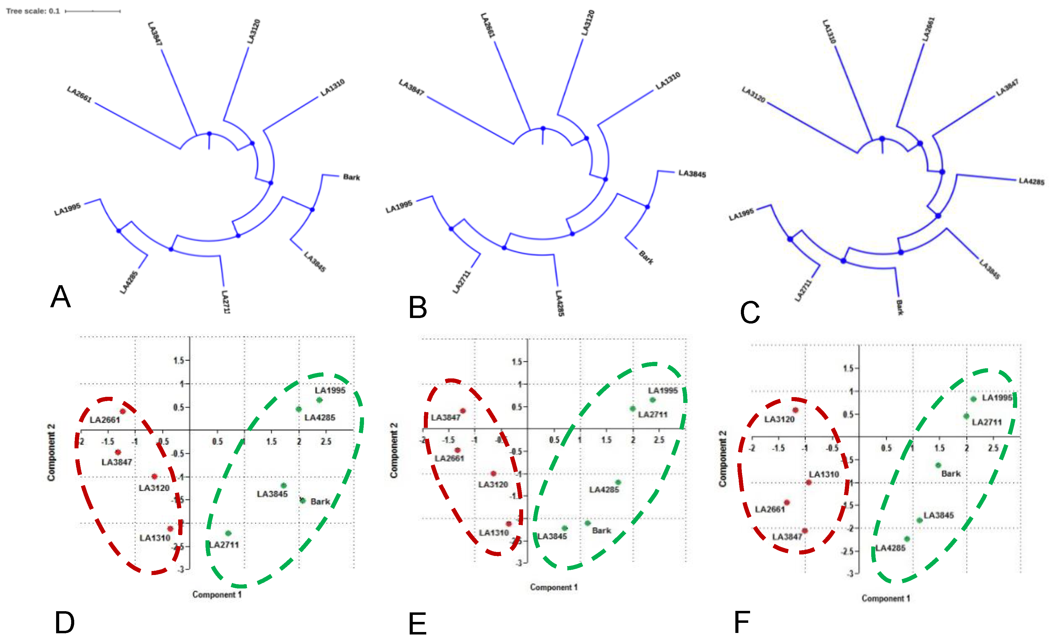 Agronomy 10 01948 g001