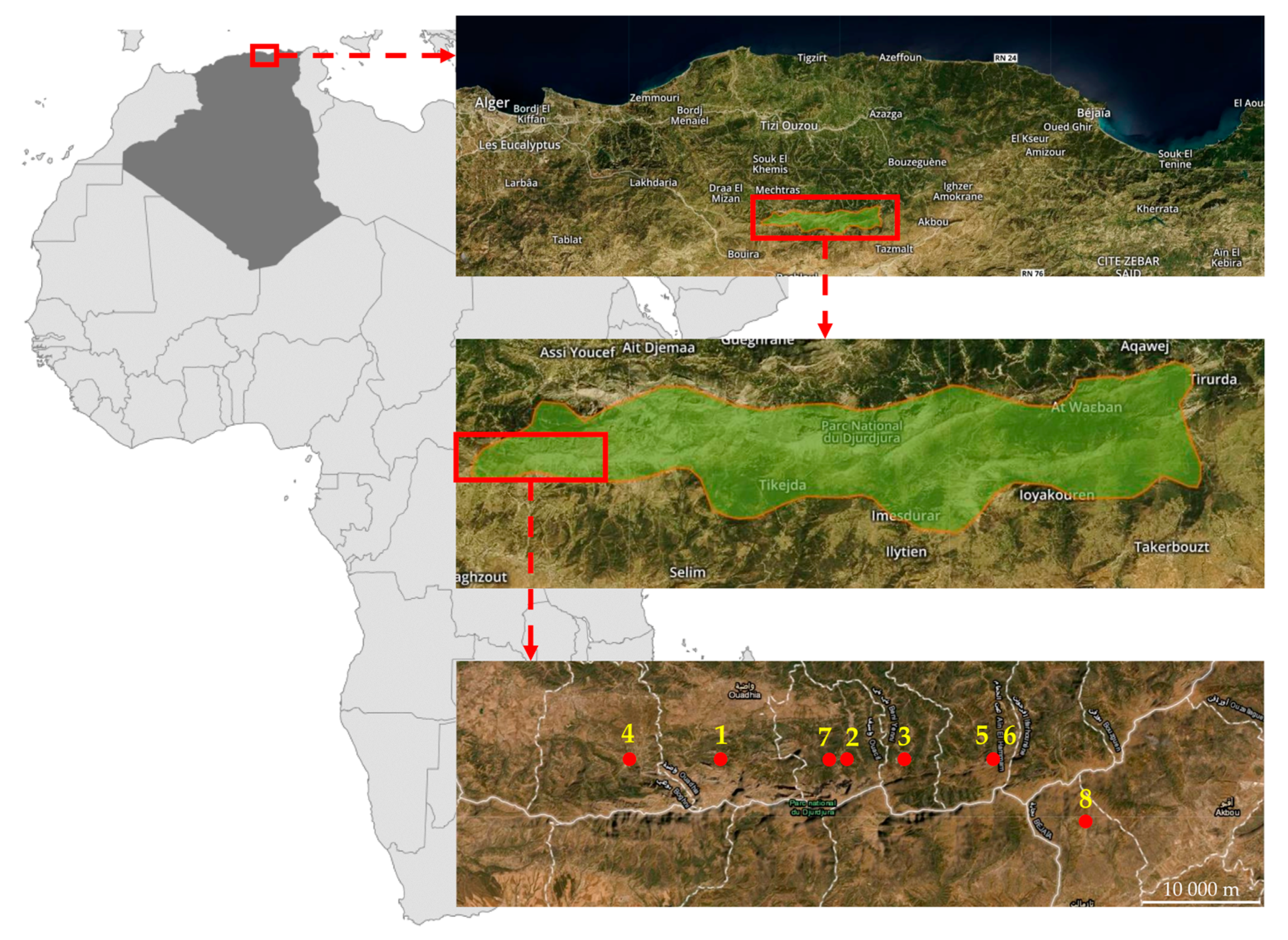 Agronomy 10 01984 g002