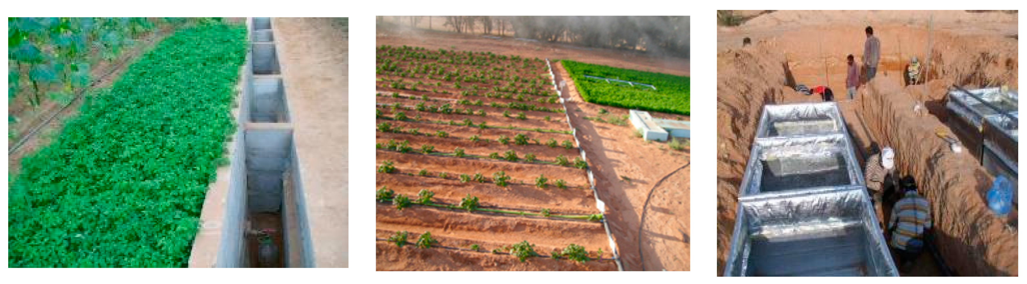 Agronomy 10 01997 g002