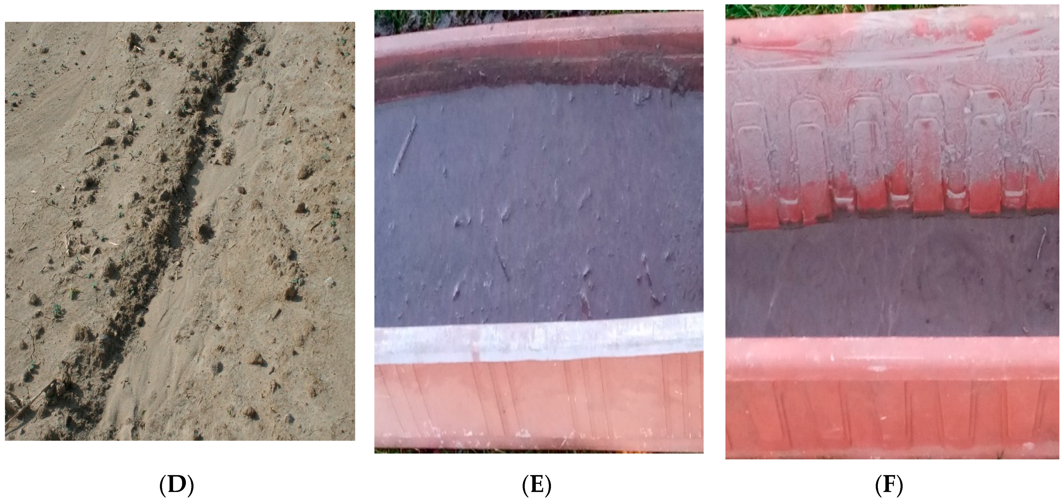 Agronomy 10 02015 g003b Agronomy 10 02015 g003b