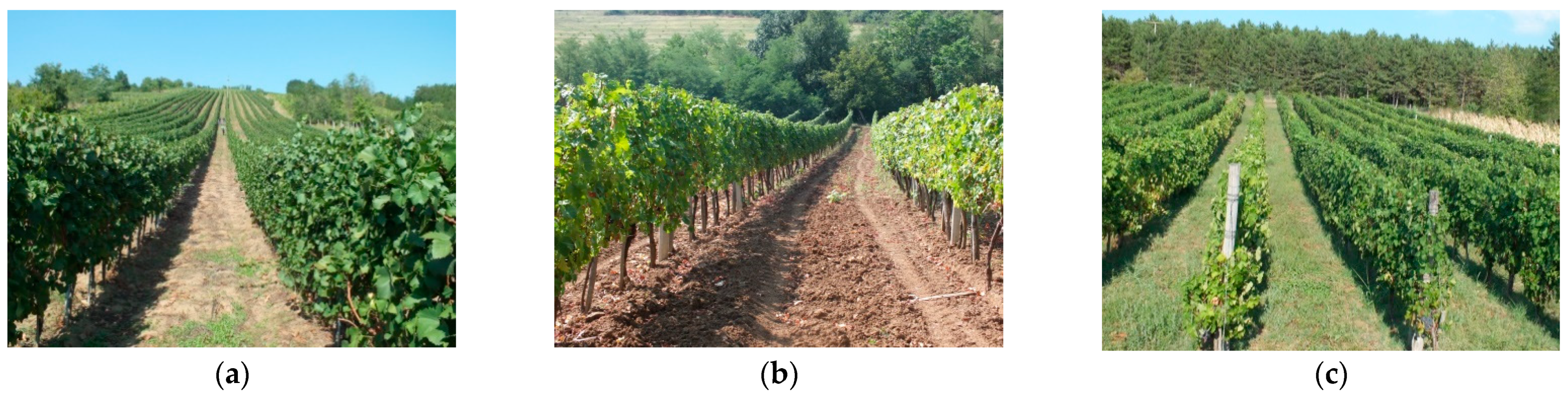 Agronomy 11 00009 g003