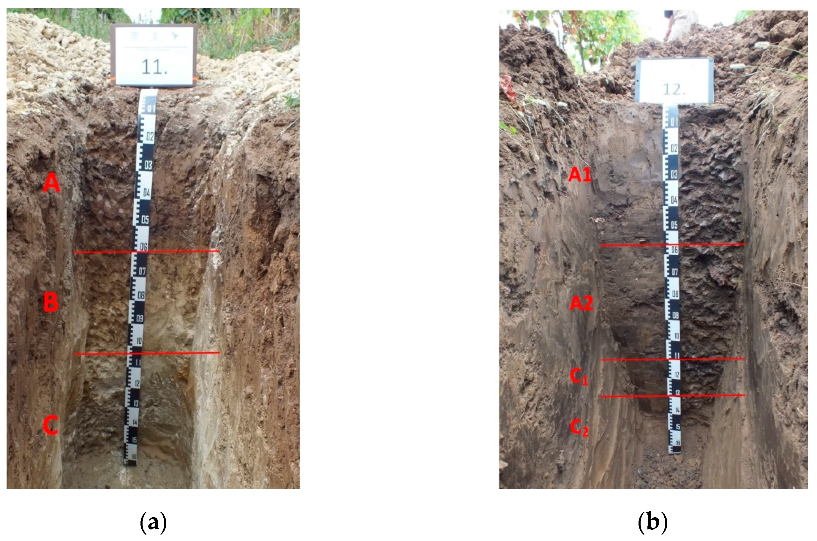 Agronomy 11 00009 g004
