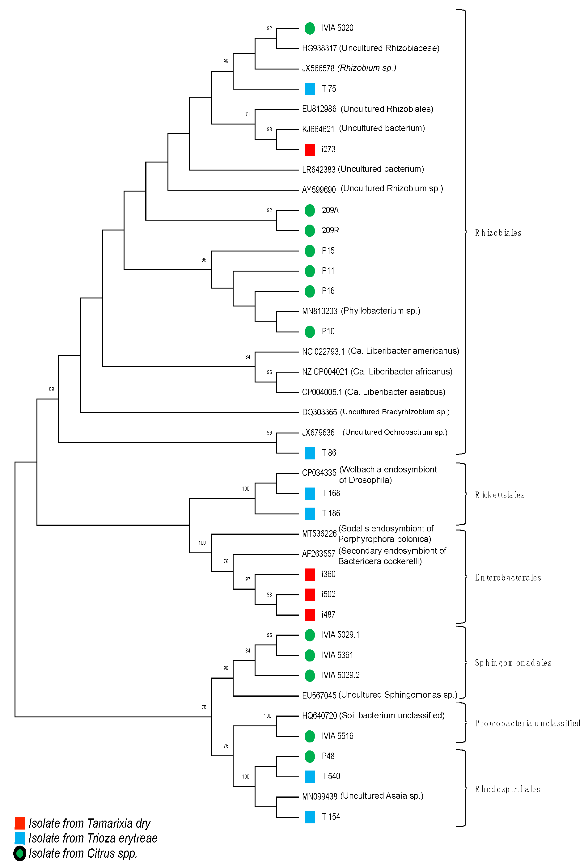 Agronomy 11 00010 g002 Agronomy 11 00010 g002