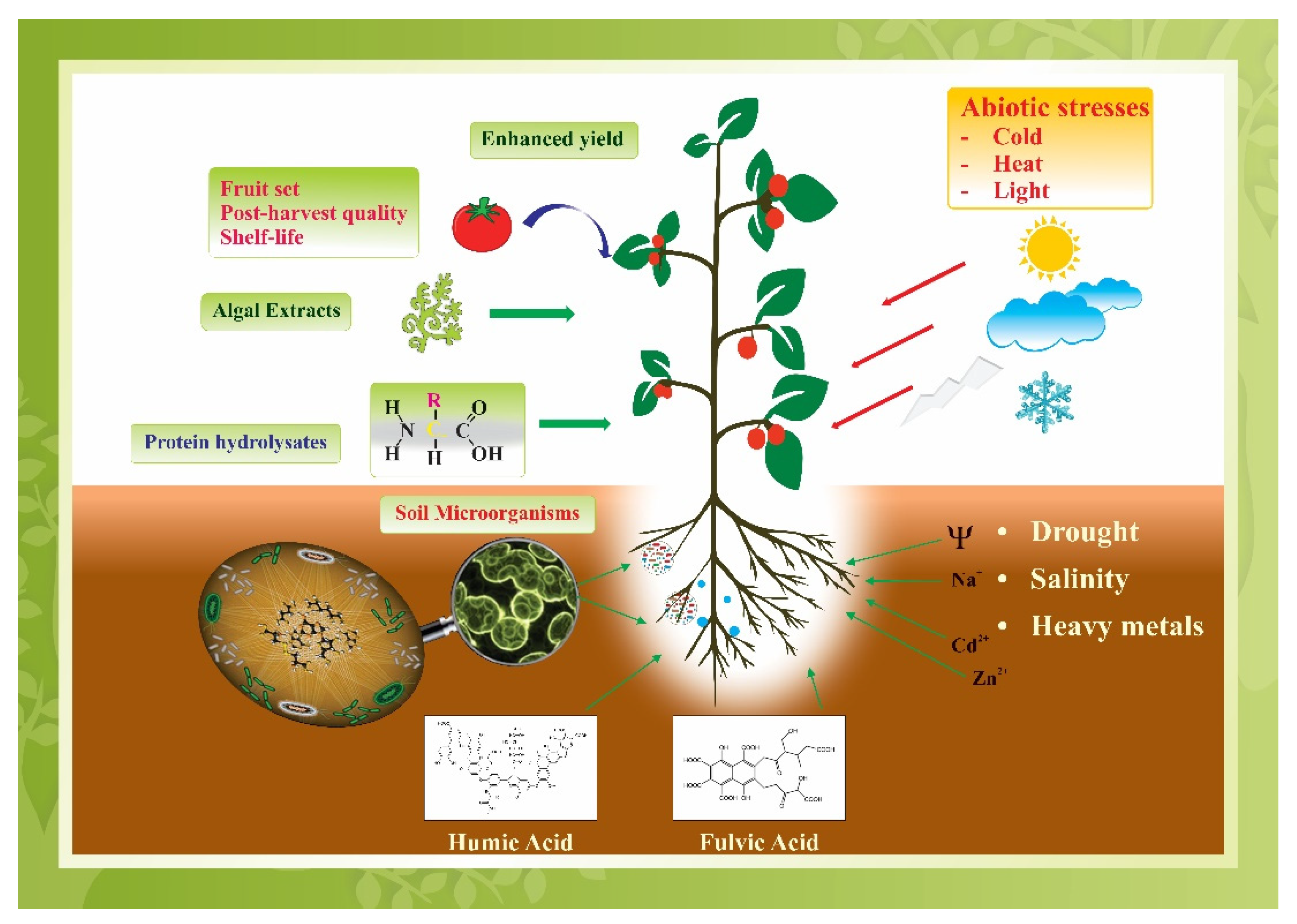 Agronomy 11 00014 g002
