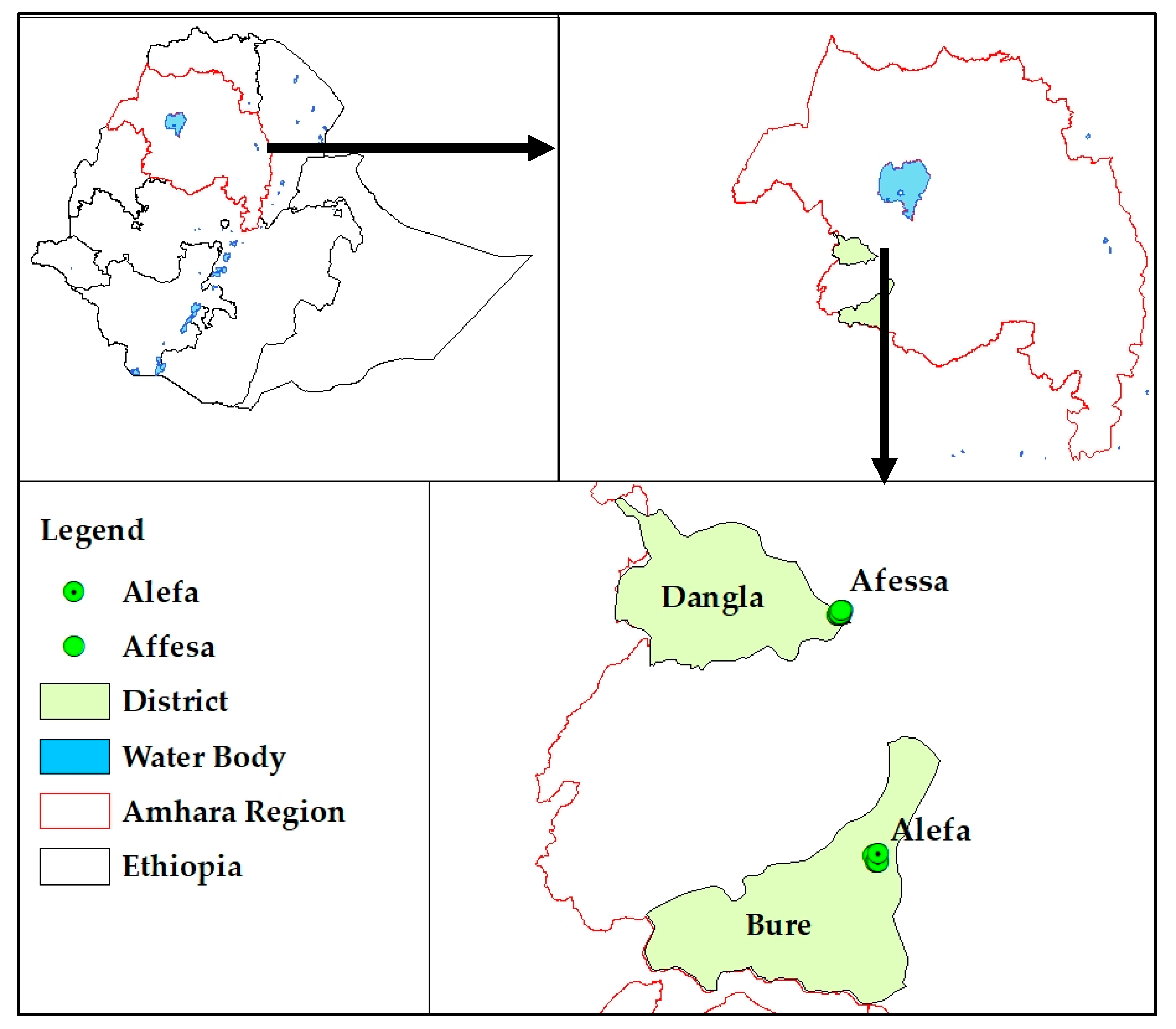 Agronomy 11 00017 g001
