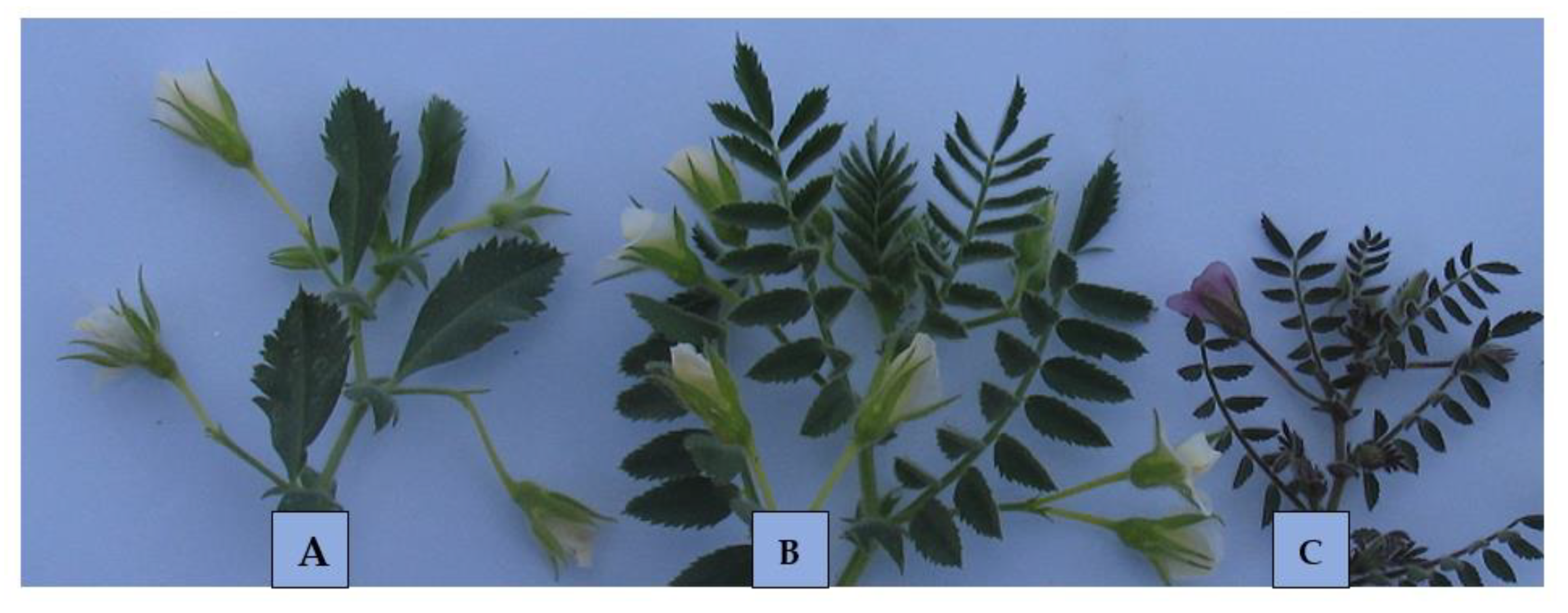 Agronomy 11 00057 g001 Agronomy 11 00057 g001