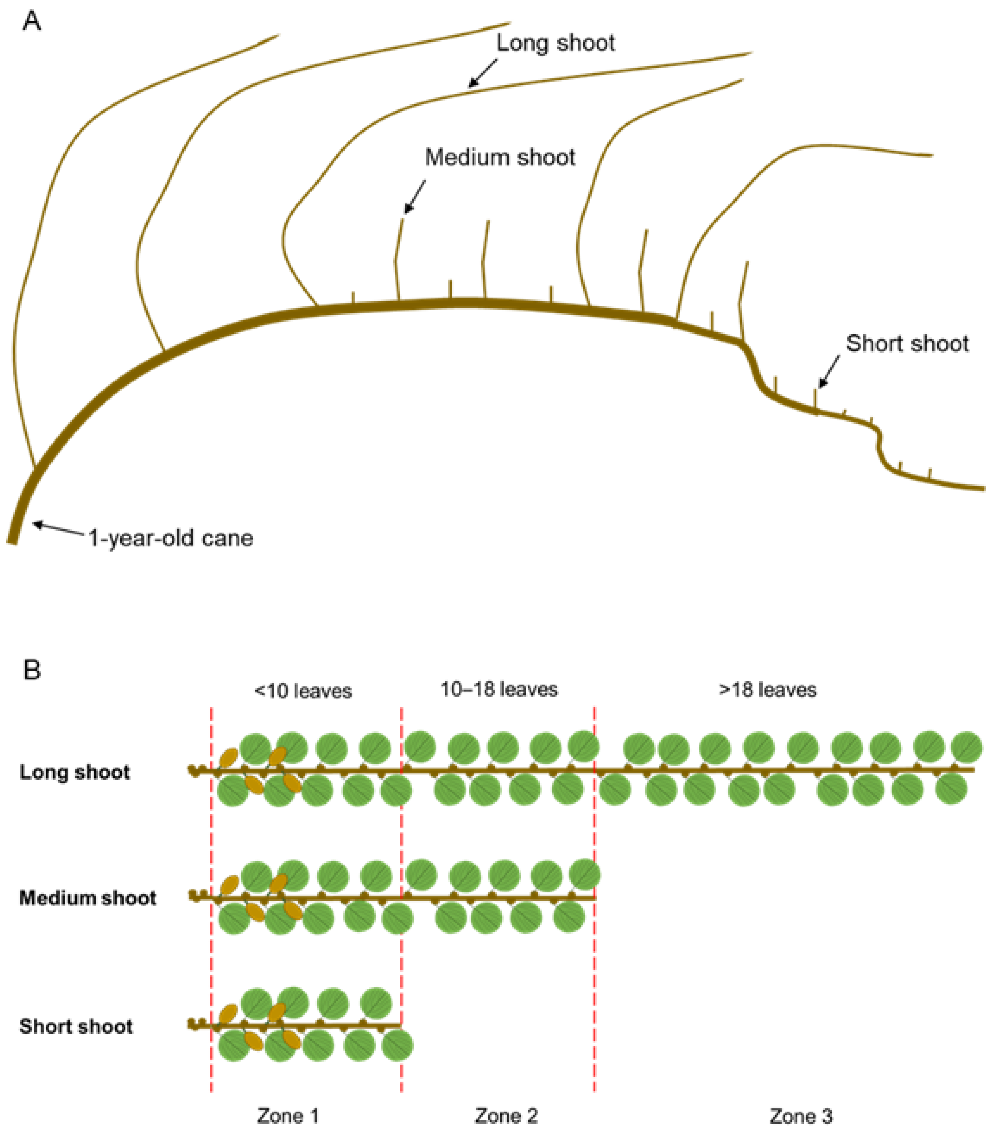 Agronomy 11 00066 g001