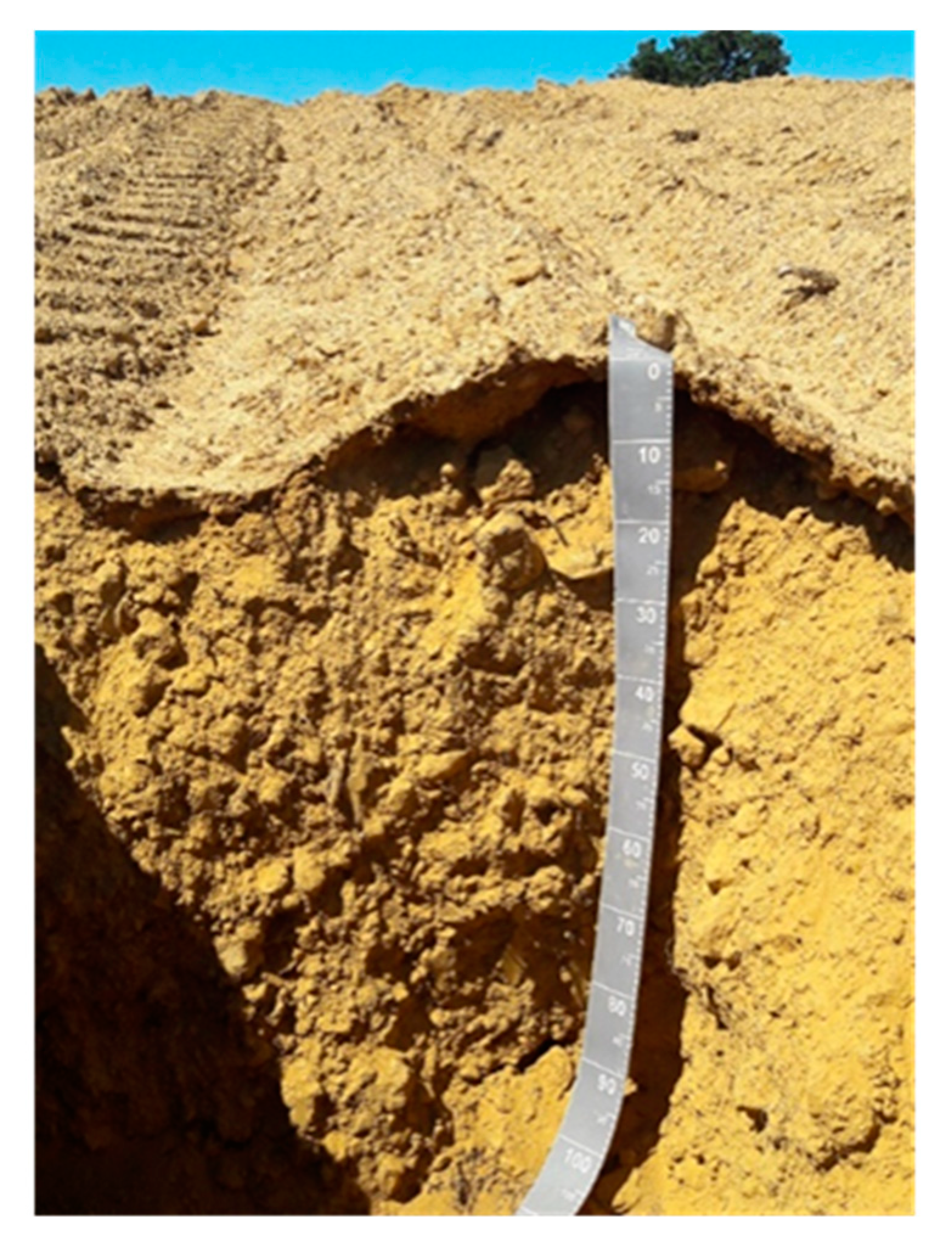 Agronomy 11 00068 g002