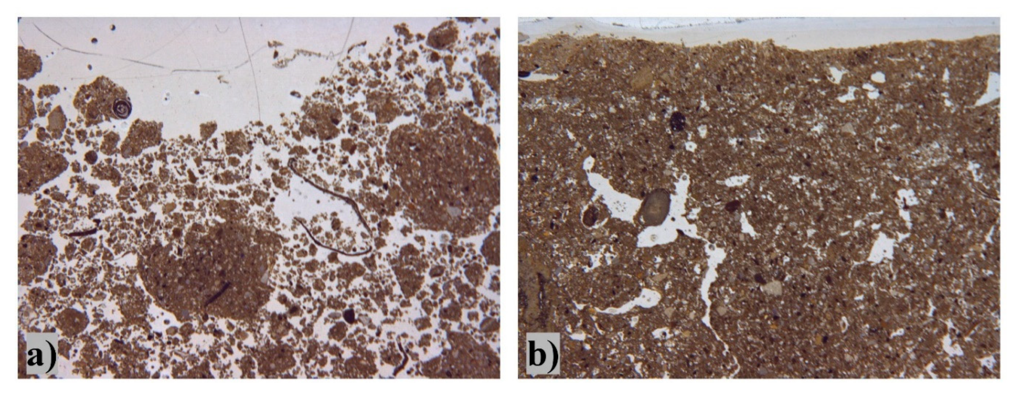 Agronomy 11 00068 g003