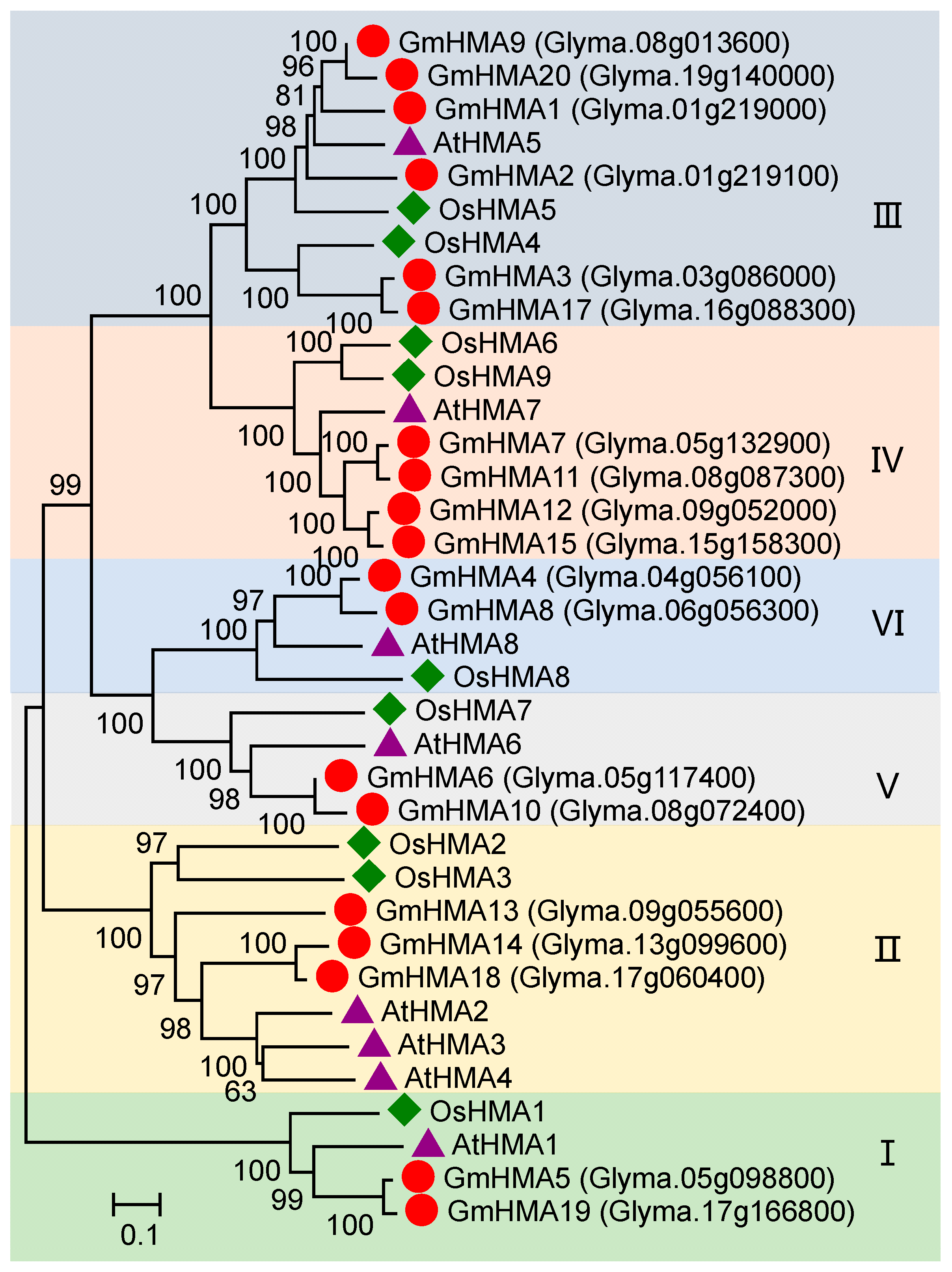 Agronomy 11 00071 g003